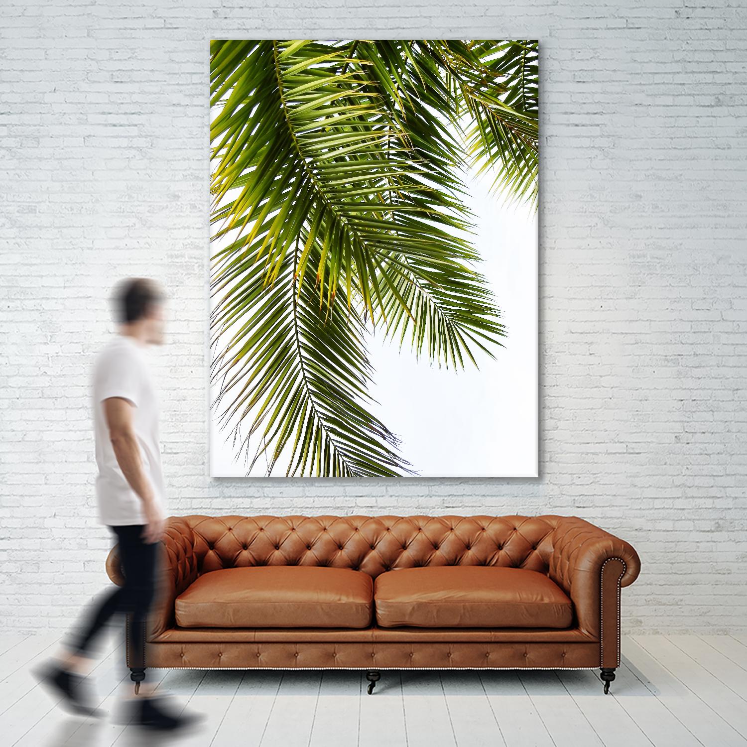 Palm Leaves by Lexie Greer on GIANT ART - multicolor photography; floral/still life