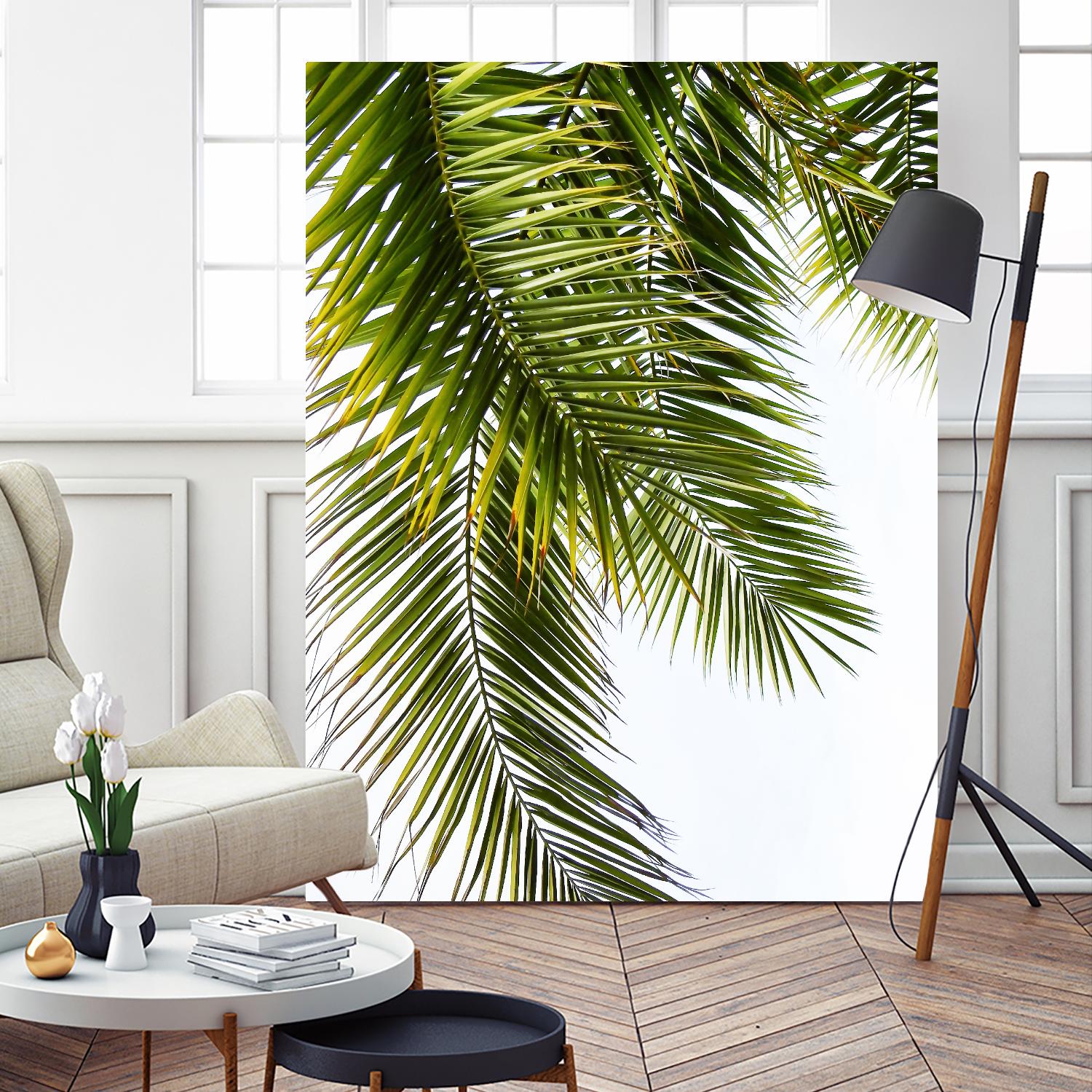 Palm Leaves by Lexie Greer on GIANT ART - multicolor photography; floral/still life