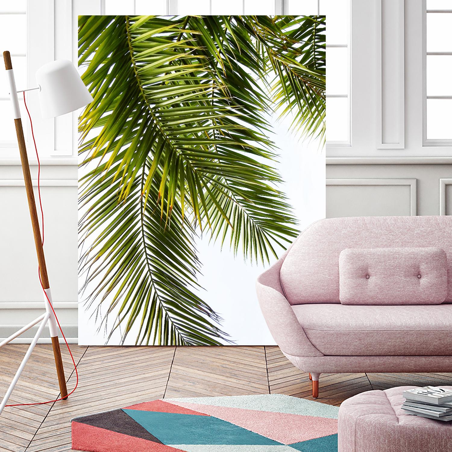 Palm Leaves by Lexie Greer on GIANT ART - multicolor photography; floral/still life