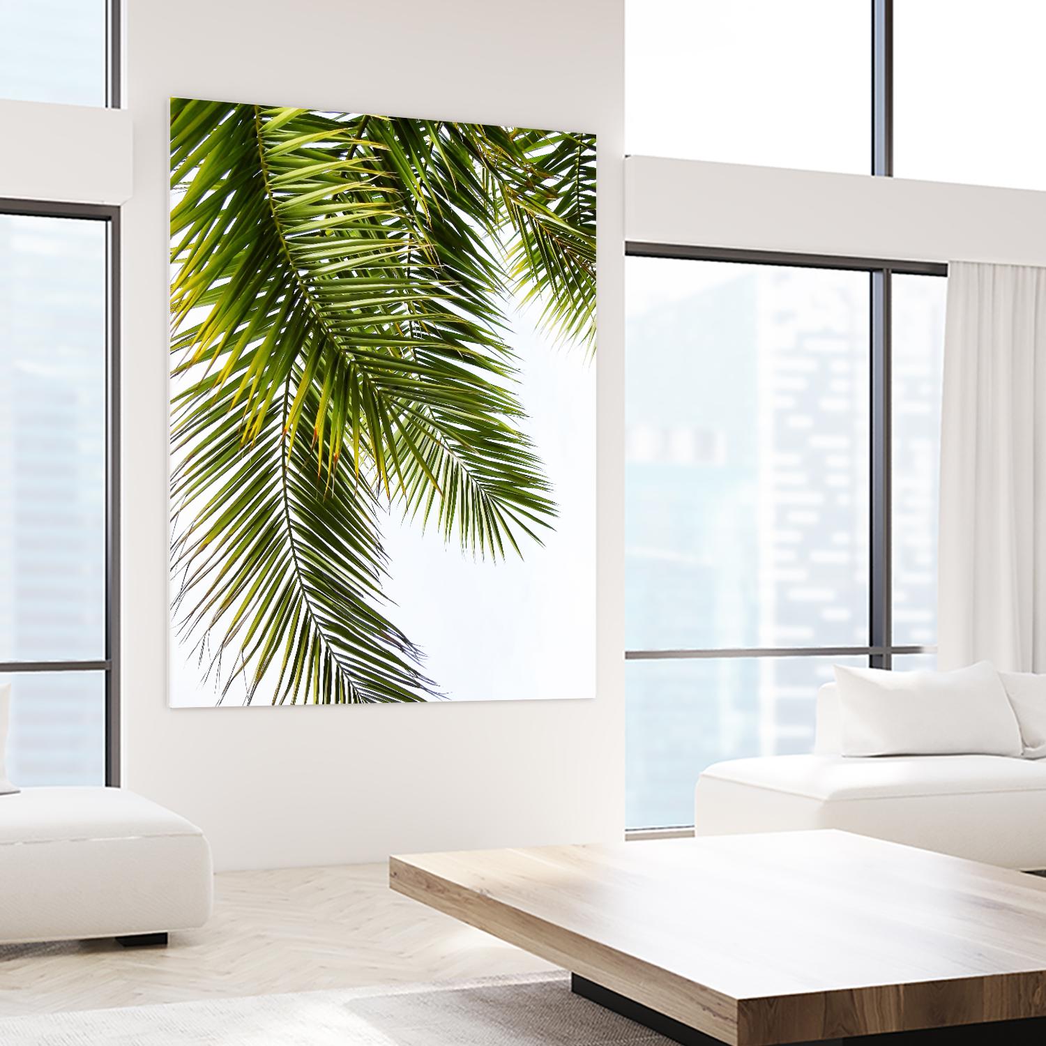 Palm Leaves by Lexie Greer on GIANT ART - multicolor photography; floral/still life