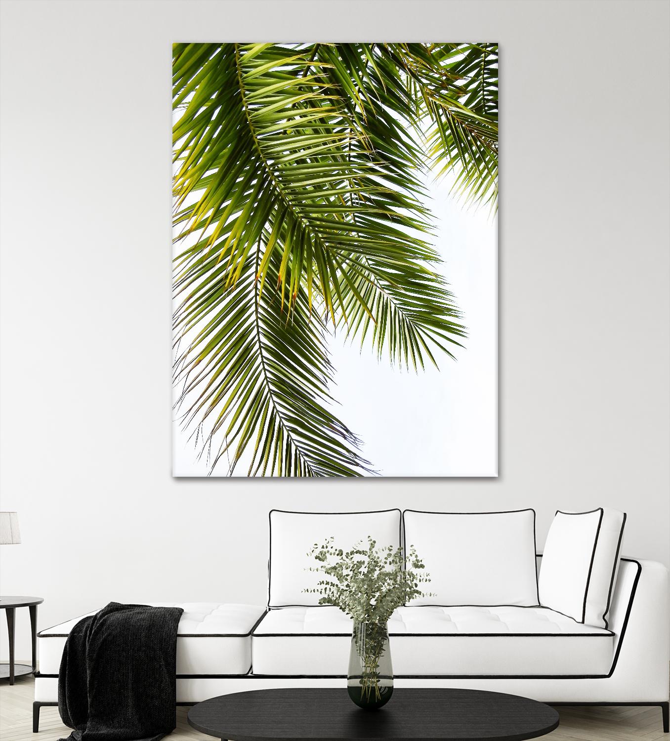 Palm Leaves by Lexie Greer on GIANT ART - multicolor photography; floral/still life