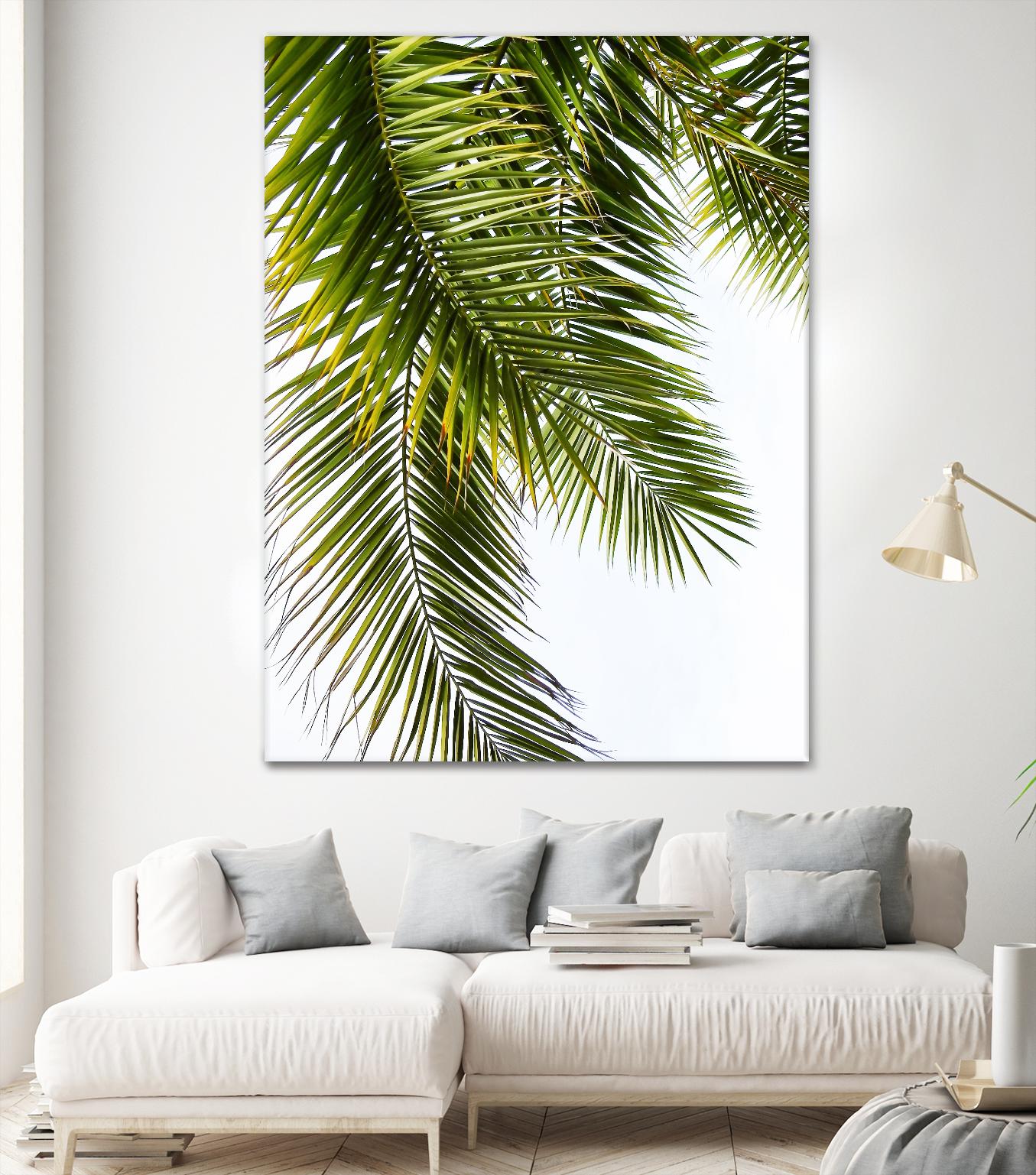 Palm Leaves by Lexie Greer on GIANT ART - multicolor photography; floral/still life