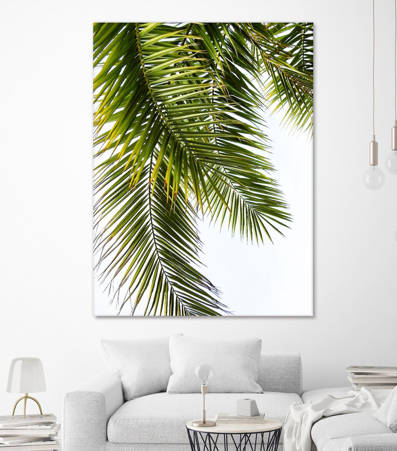 Palm Leaves by Lexie Greer on GIANT ART - multicolor photography; floral/still life
