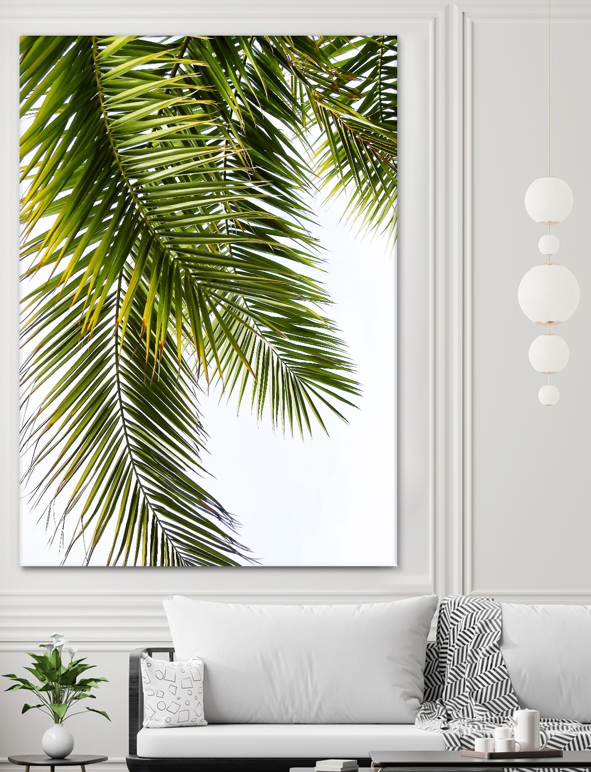 Palm Leaves by Lexie Greer on GIANT ART - multicolor photography; floral/still life