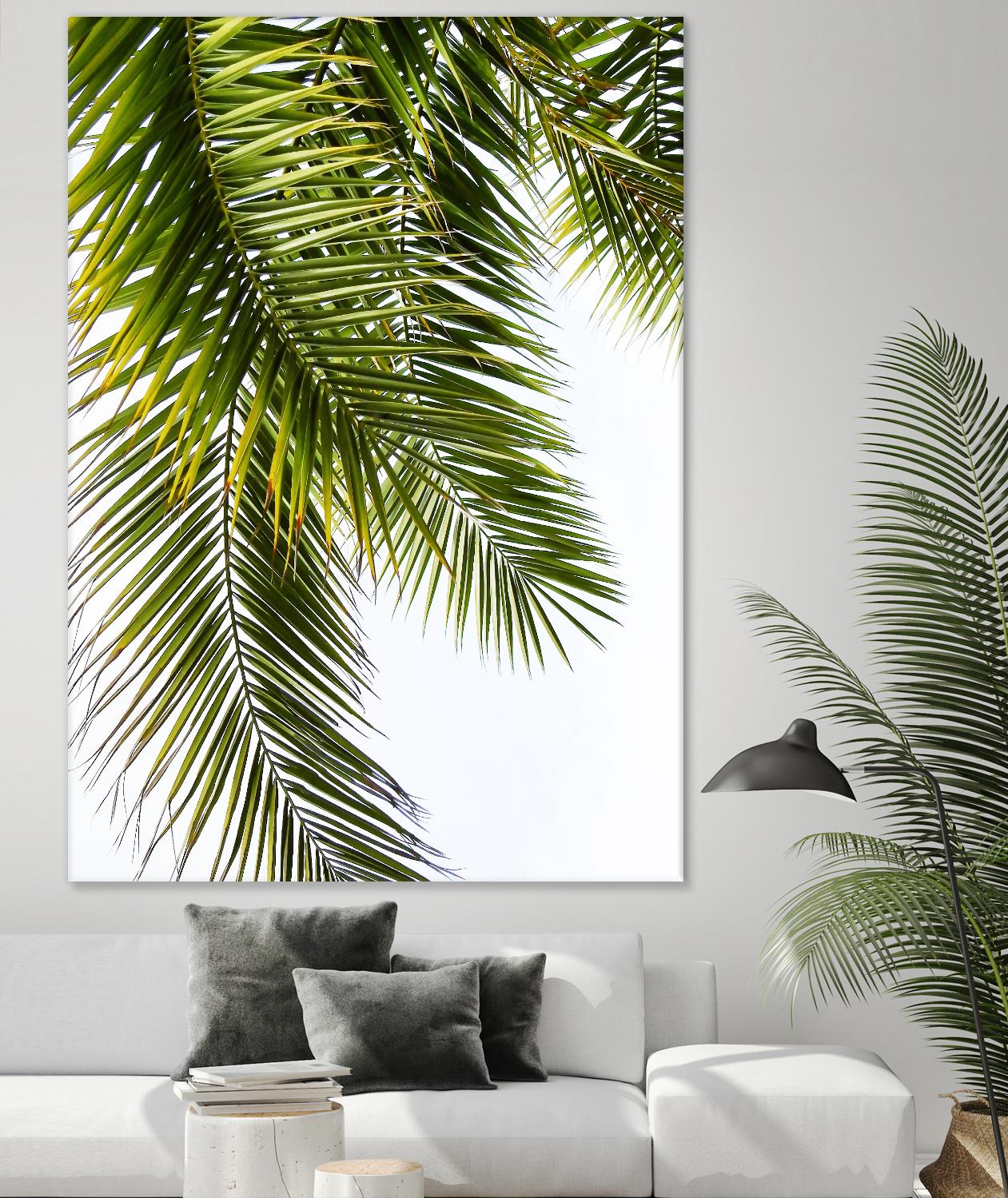 Palm Leaves by Lexie Greer on GIANT ART - multicolor photography; floral/still life