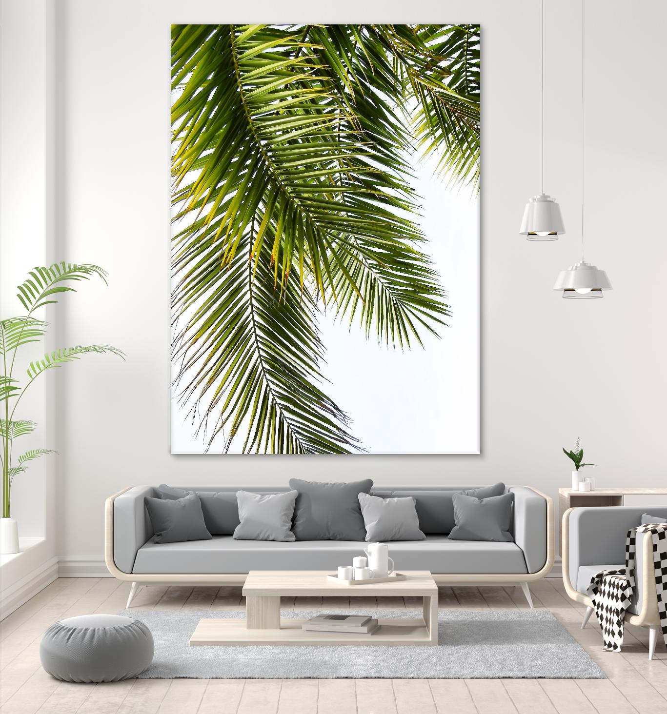 Palm Leaves by Lexie Greer on GIANT ART - multicolor photography; floral/still life