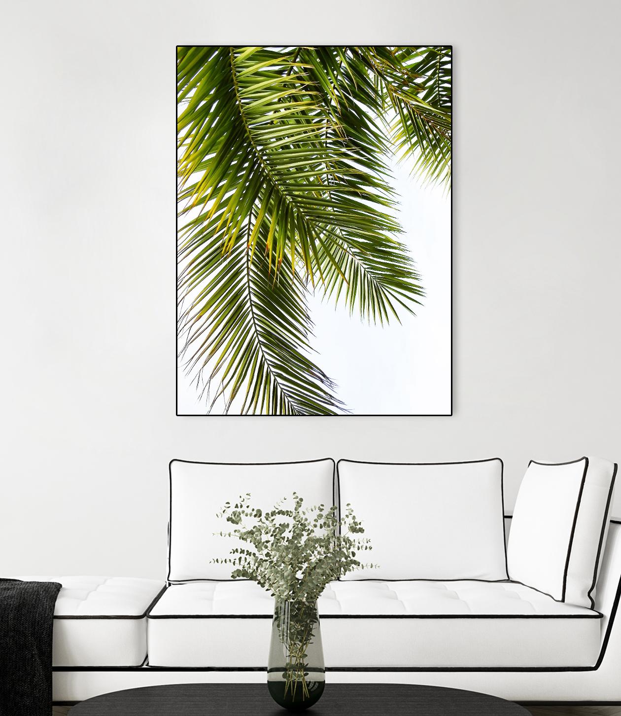 Palm Leaves by Lexie Greer on GIANT ART - multicolor photography; floral/still life
