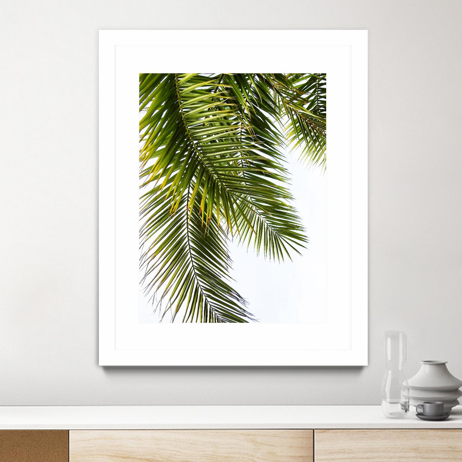 Palm Leaves by Lexie Greer on GIANT ART - multicolor photography; floral/still life