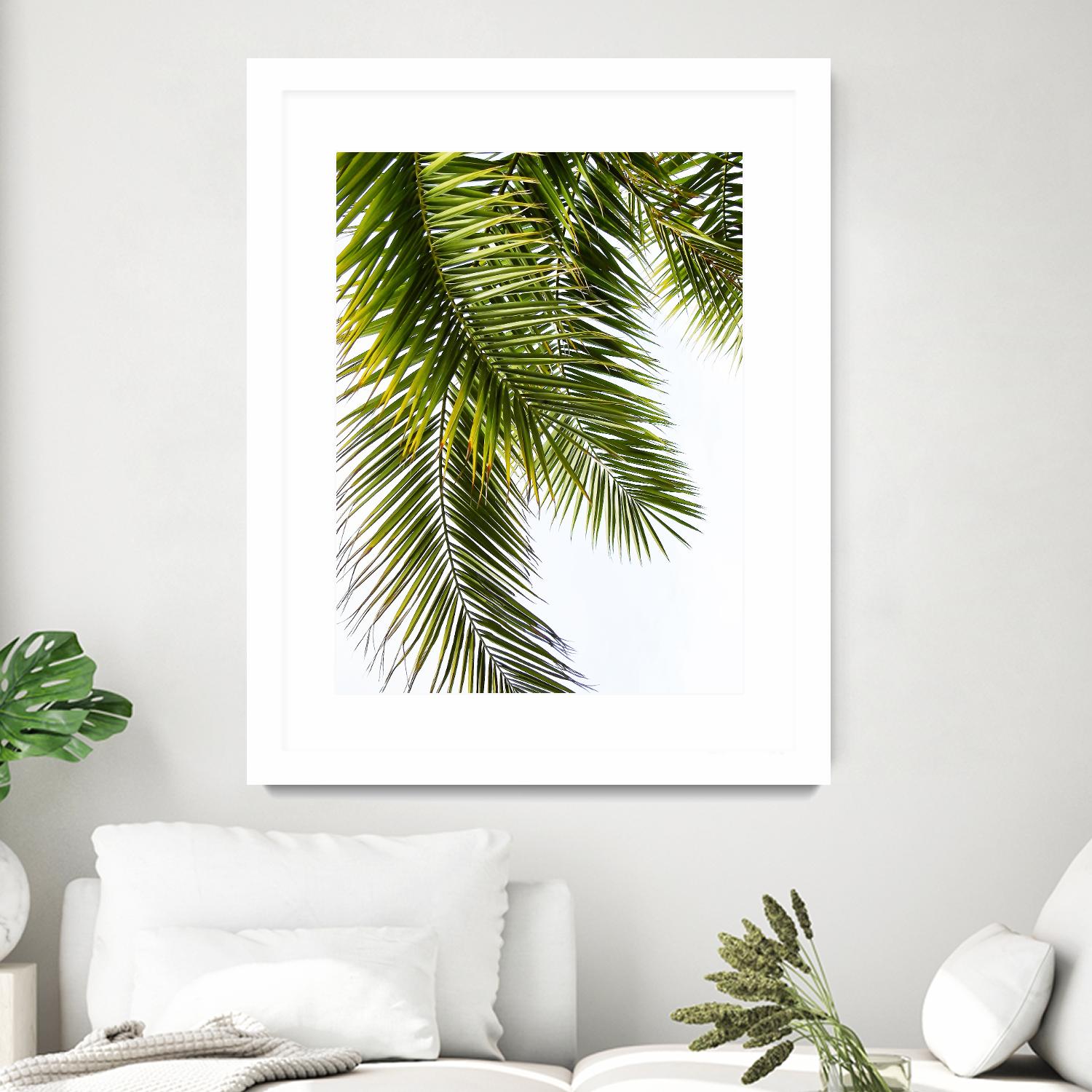 Palm Leaves by Lexie Greer on GIANT ART - multicolor photography; floral/still life