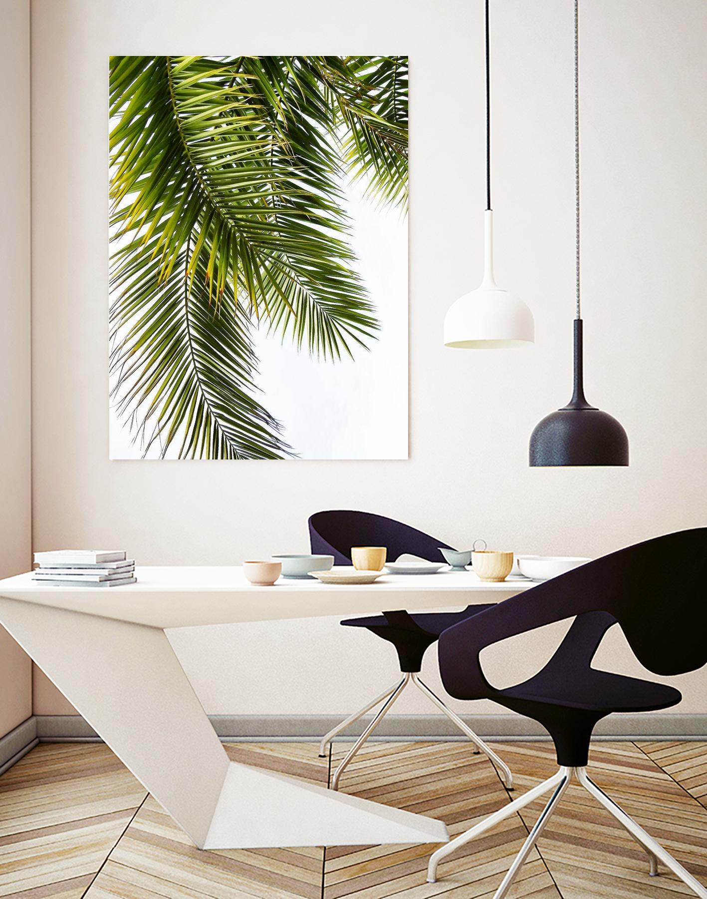 Palm Leaves by Lexie Greer on GIANT ART - multicolor photography; floral/still life