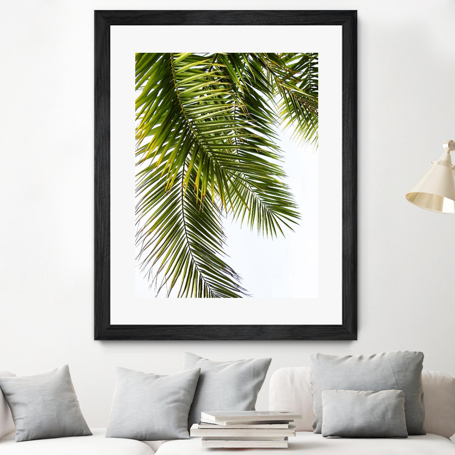 Palm Leaves by Lexie Greer on GIANT ART - multicolor photography; floral/still life