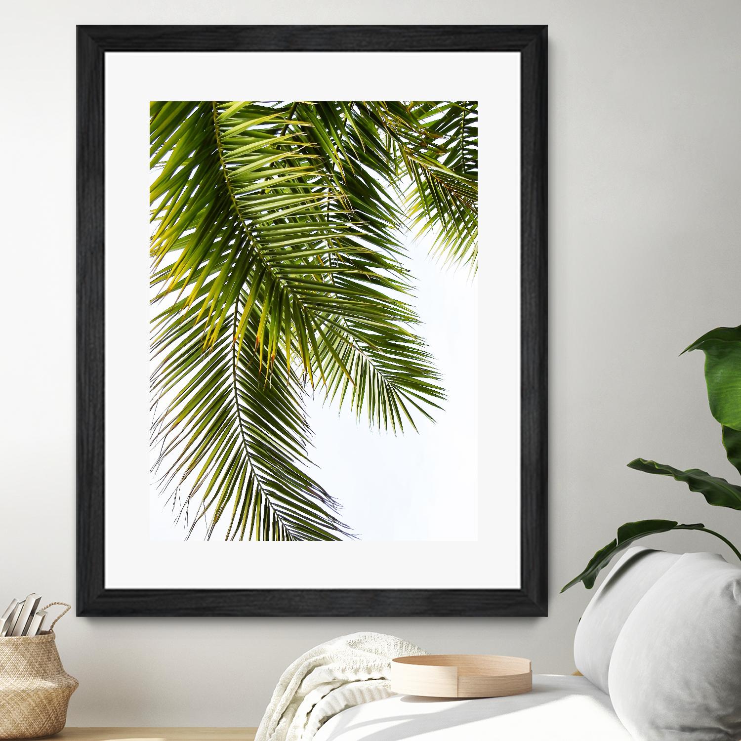 Palm Leaves by Lexie Greer on GIANT ART - multicolor photography; floral/still life