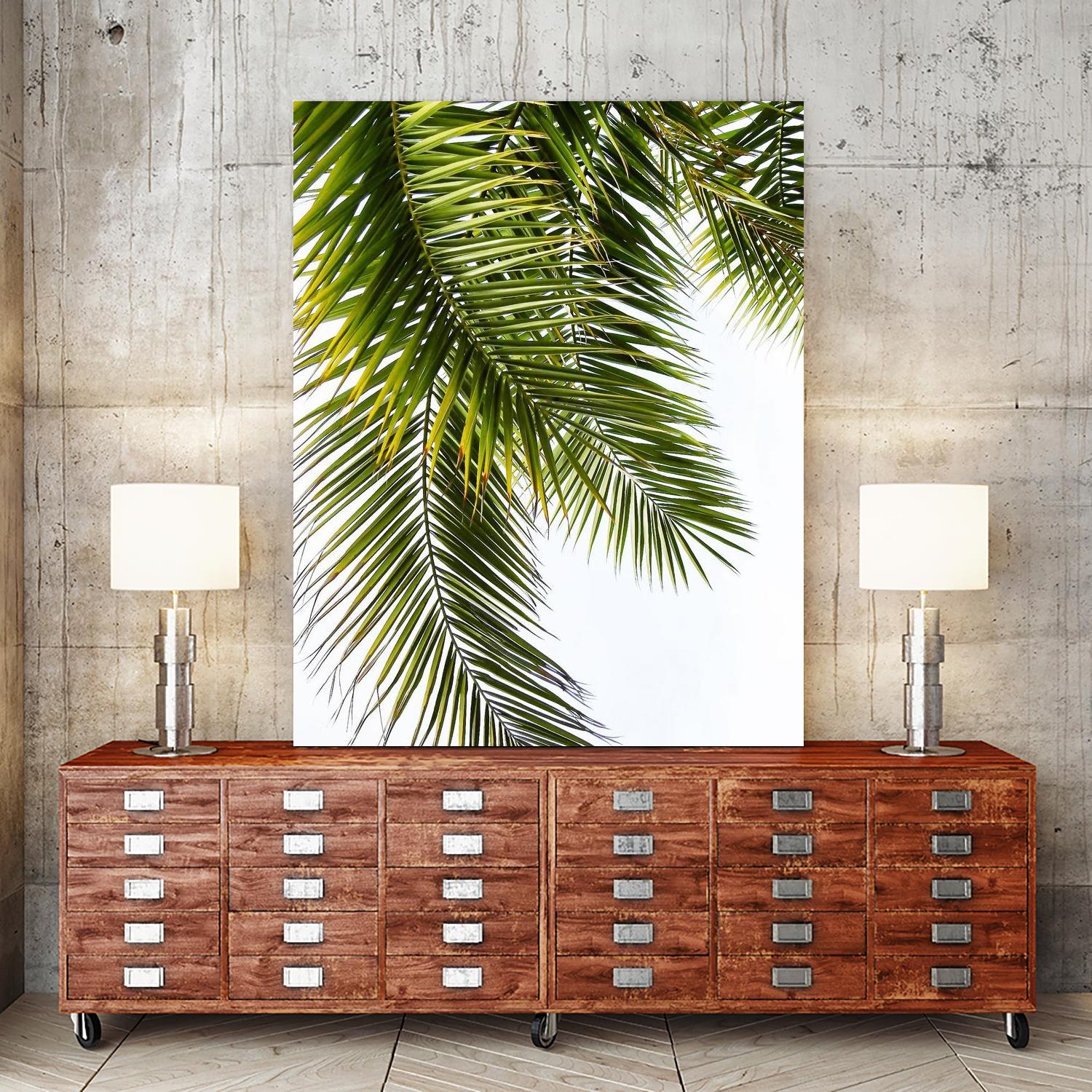 Palm Leaves by Lexie Greer on GIANT ART - multicolor photography; floral/still life