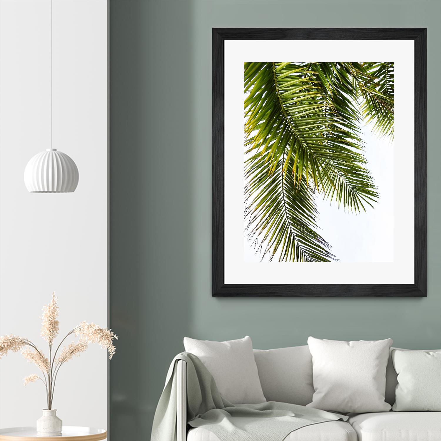 Palm Leaves by Lexie Greer on GIANT ART - multicolor photography; floral/still life