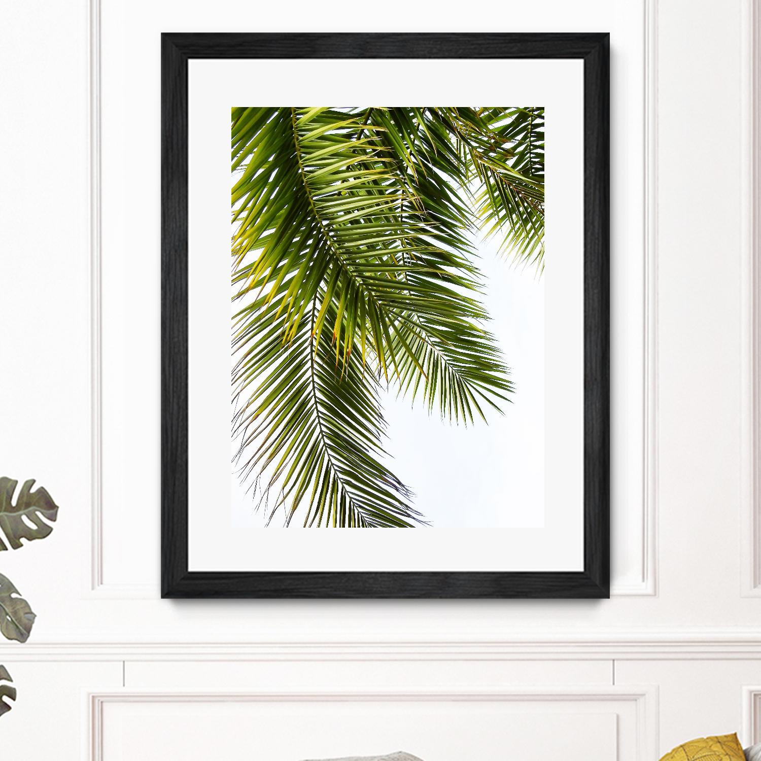 Palm Leaves by Lexie Greer on GIANT ART - multicolor photography; floral/still life