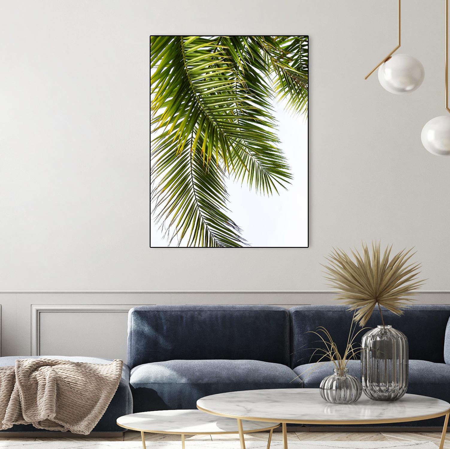 Palm Leaves by Lexie Greer on GIANT ART - multicolor photography; floral/still life