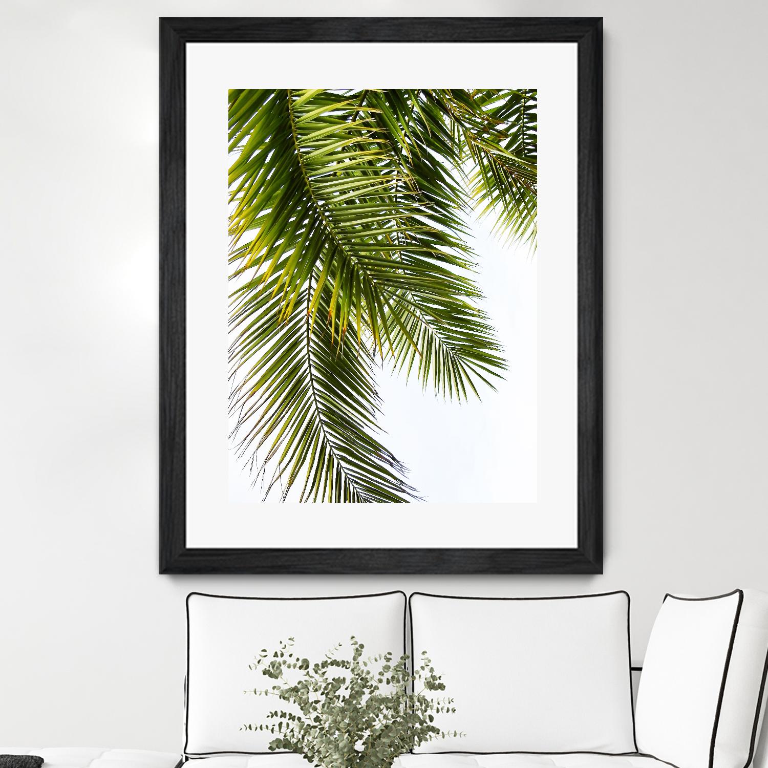 Palm Leaves by Lexie Greer on GIANT ART - multicolor photography; floral/still life