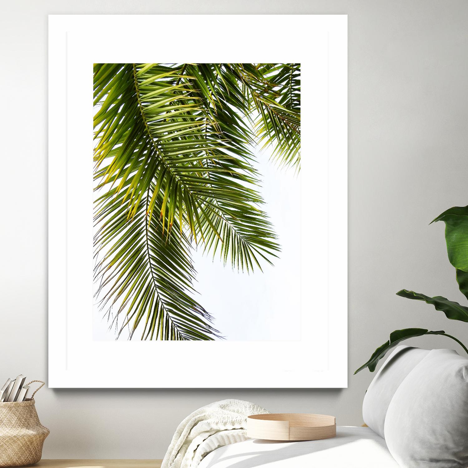 Palm Leaves by Lexie Greer on GIANT ART - multicolor photography; floral/still life