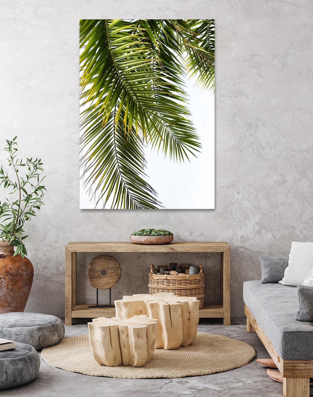 Palm Leaves by Lexie Greer on GIANT ART - multicolor photography; floral/still life