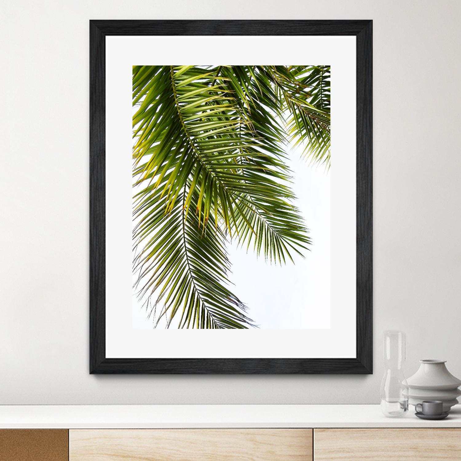 Palm Leaves by Lexie Greer on GIANT ART - multicolor photography; floral/still life