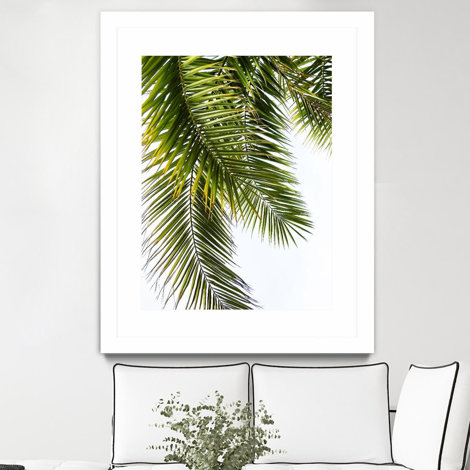 Palm Leaves by Lexie Greer on GIANT ART - multicolor photography; floral/still life