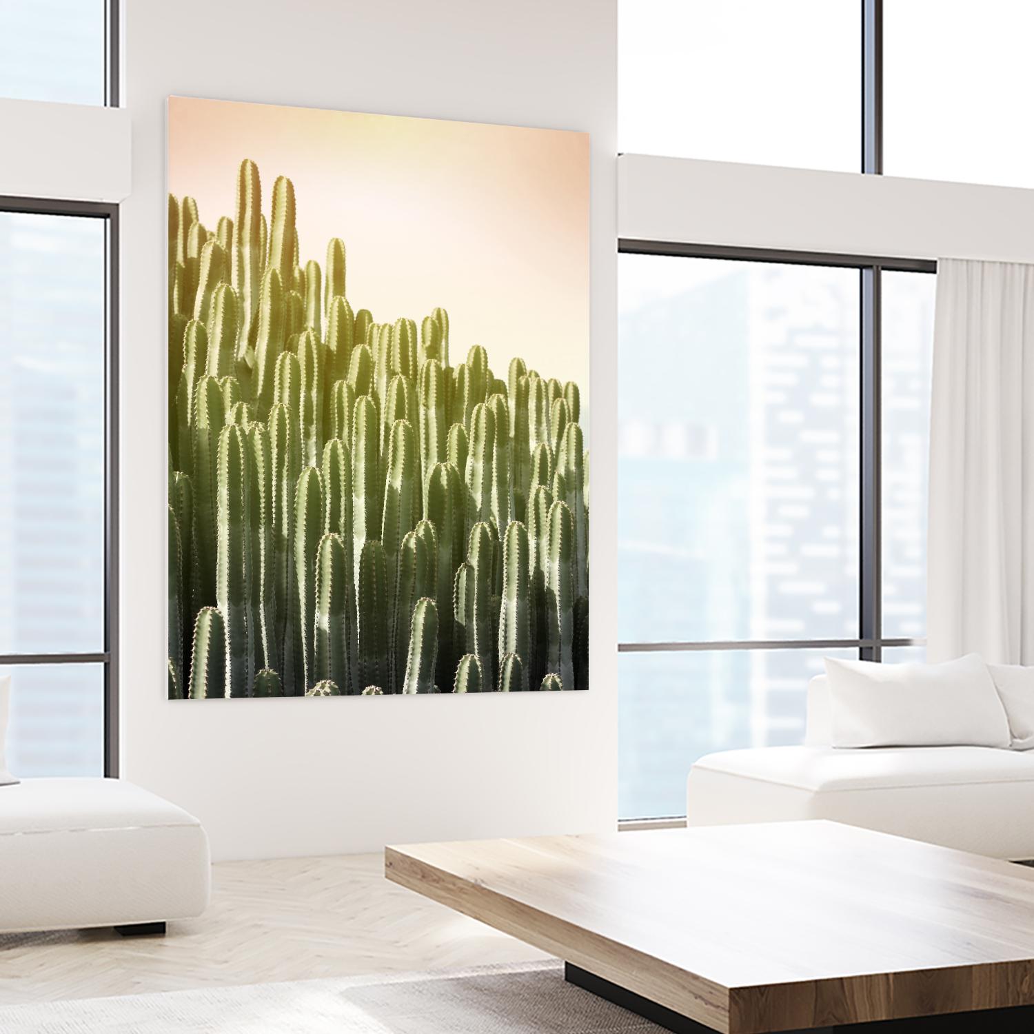 Pink Sky Cactus by Lexie Greer on GIANT ART - multicolor photography; floral/still life