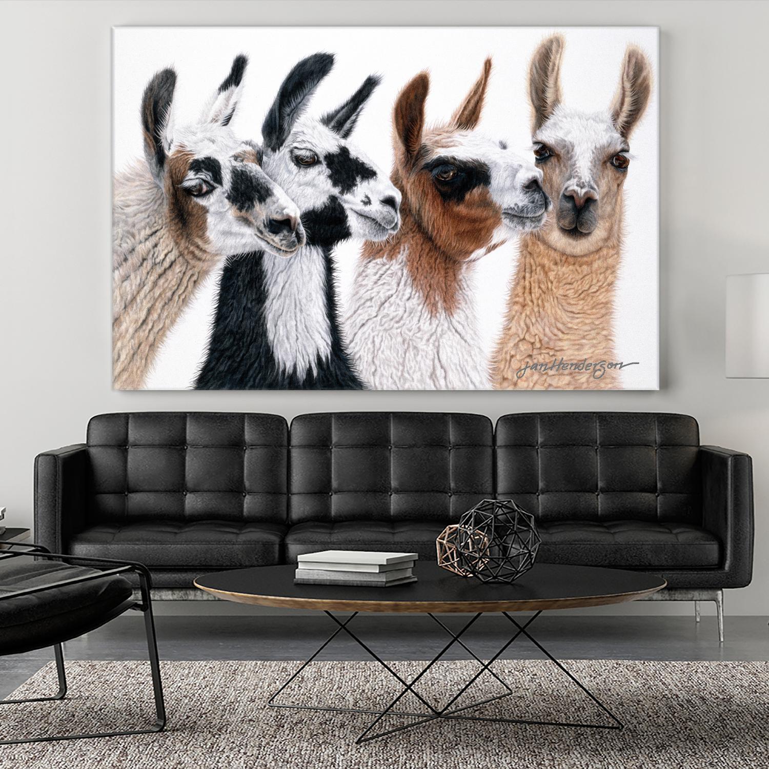 Peruvian Visitors by Jan Henderson on GIANT ART - multicolor animals; photography