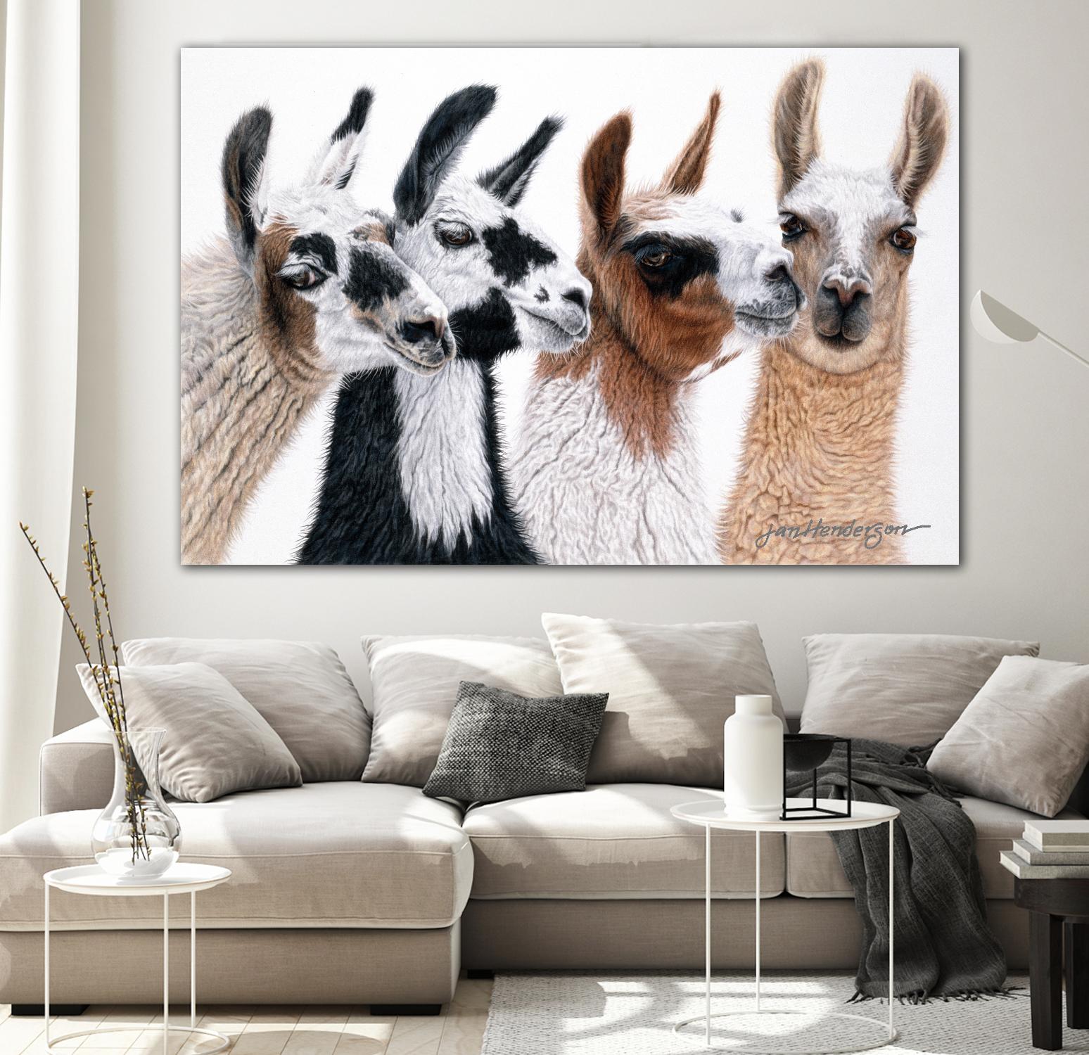 Peruvian Visitors by Jan Henderson on GIANT ART - multicolor animals; photography