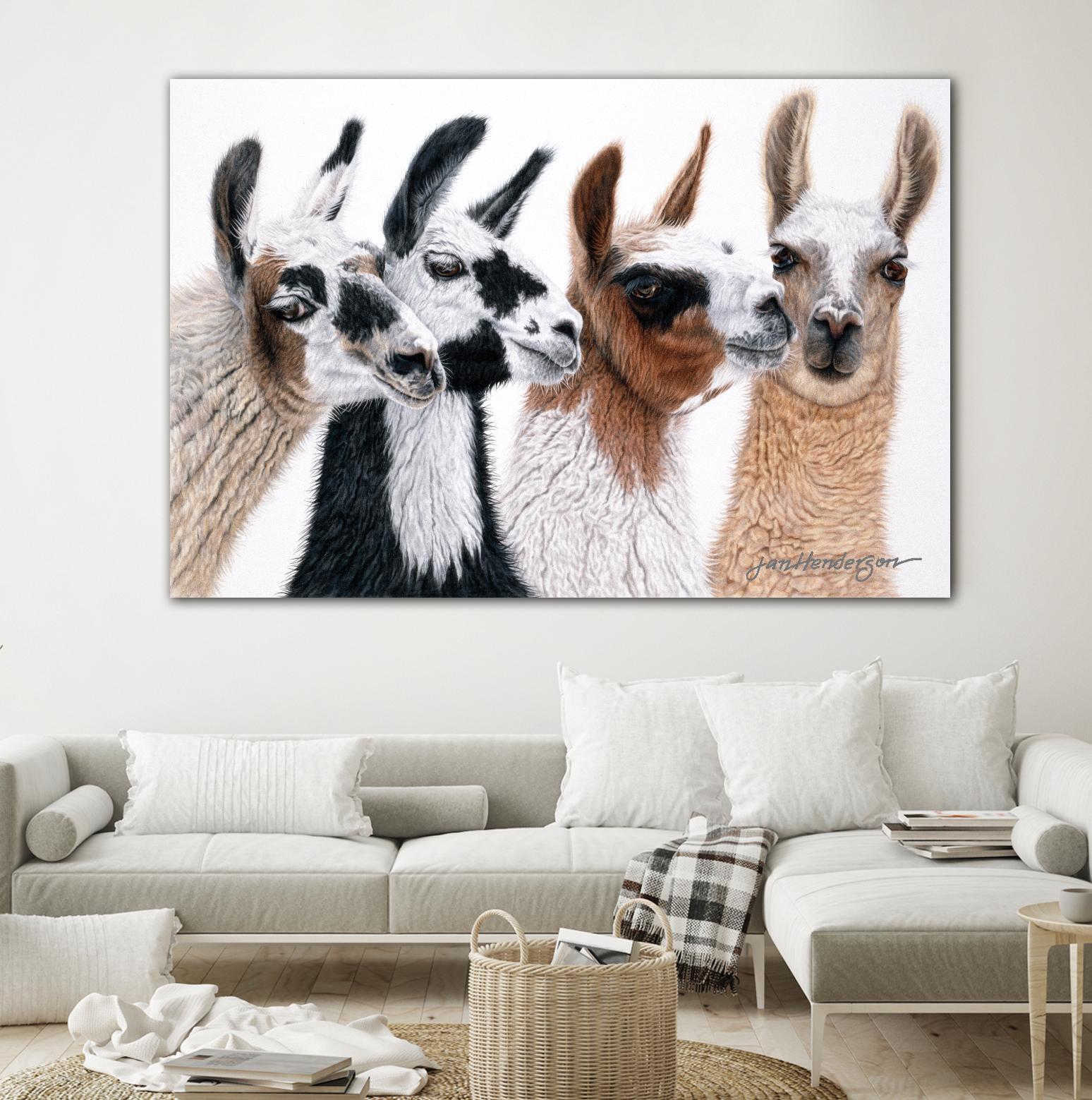 Peruvian Visitors by Jan Henderson on GIANT ART - multicolor animals; photography