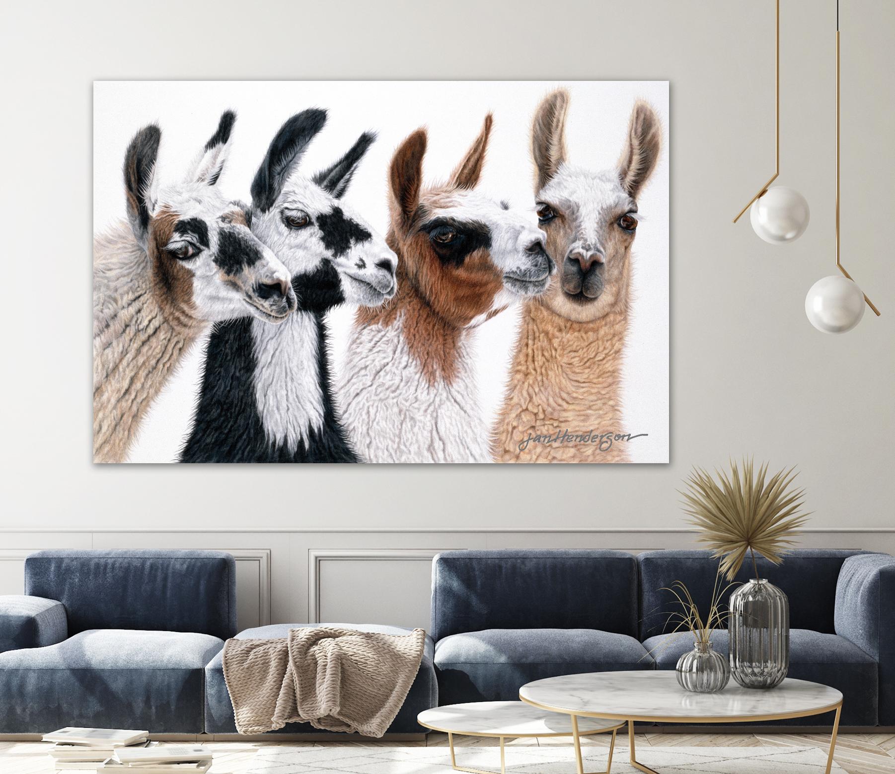 Peruvian Visitors by Jan Henderson on GIANT ART - multicolor animals; photography