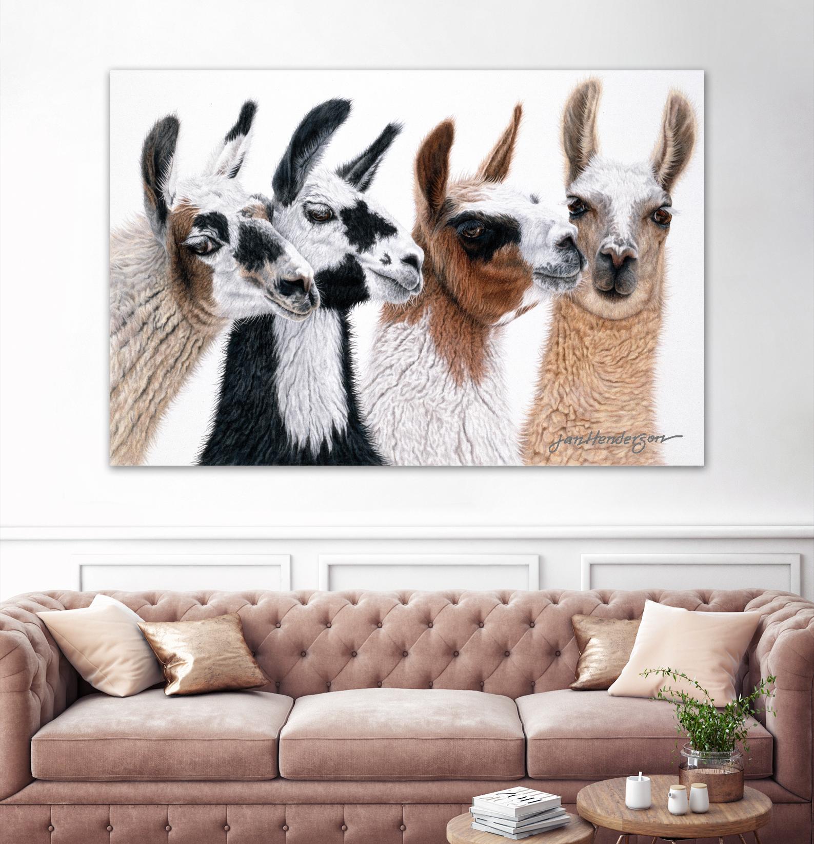 Peruvian Visitors by Jan Henderson on GIANT ART - multicolor animals; photography