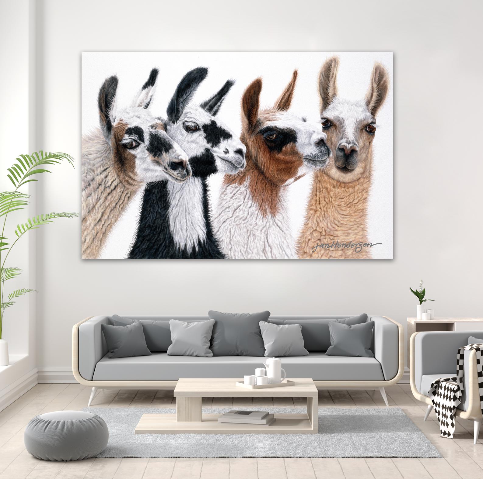 Peruvian Visitors by Jan Henderson on GIANT ART - multicolor animals; photography