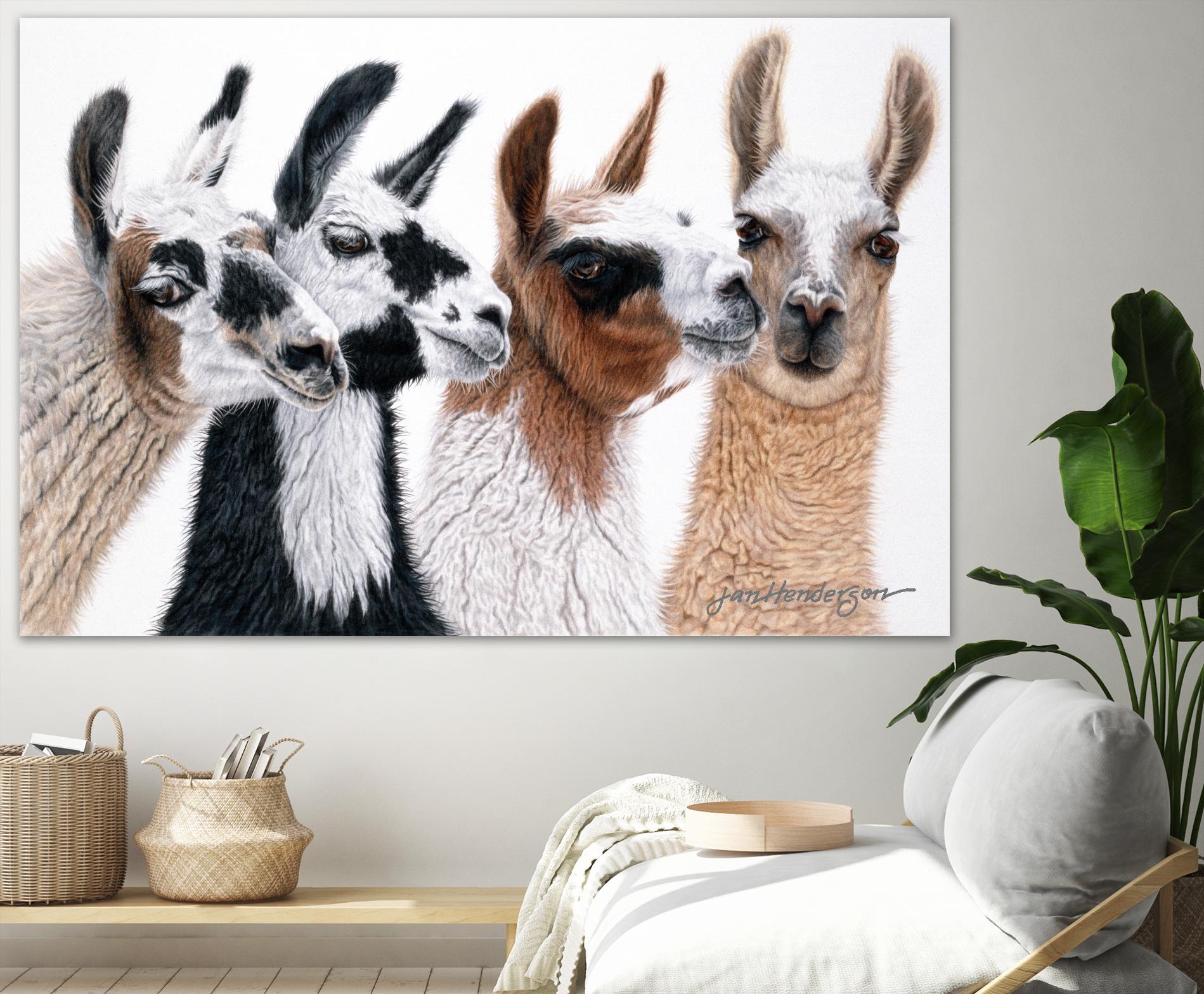 Peruvian Visitors by Jan Henderson on GIANT ART - multicolor animals; photography