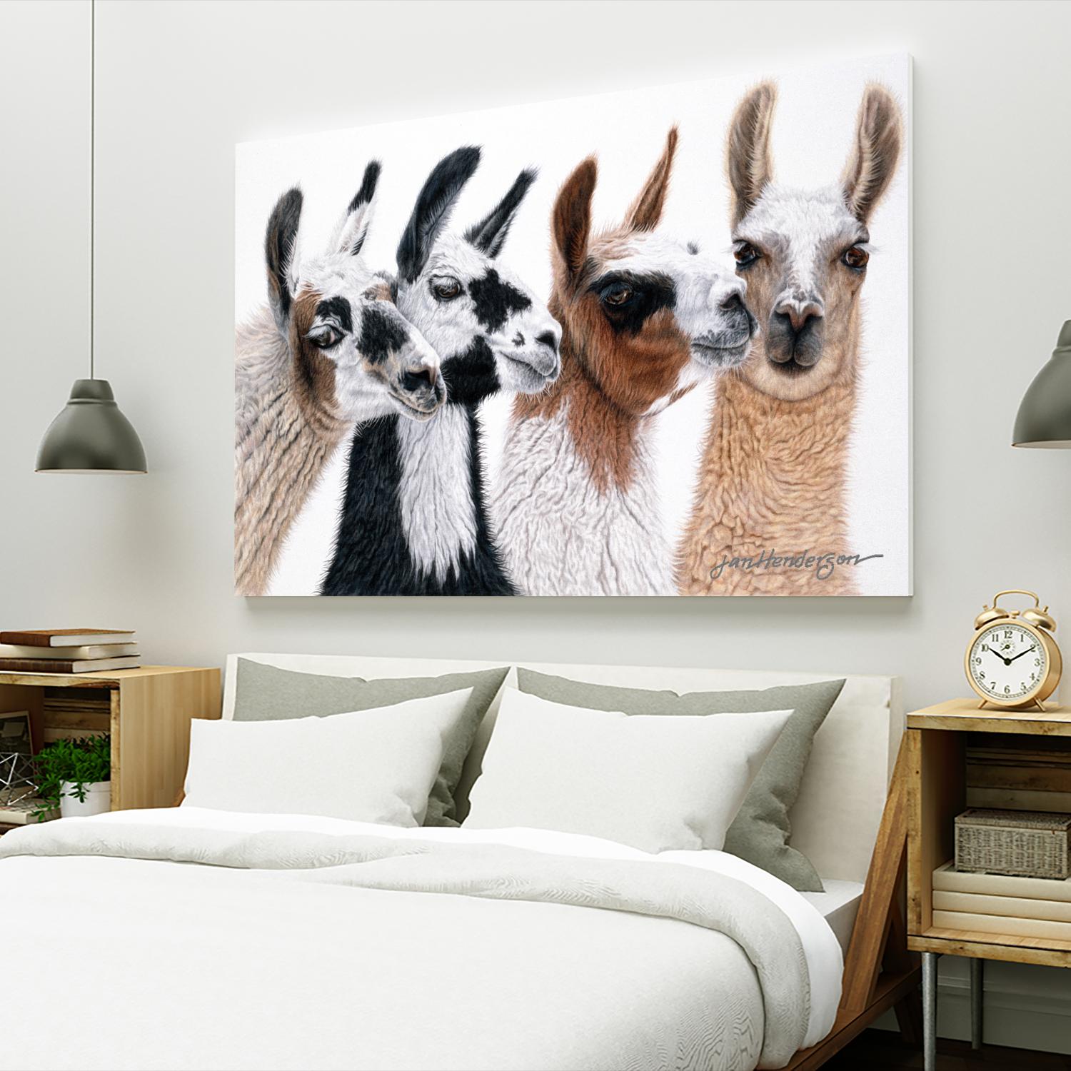 Peruvian Visitors by Jan Henderson on GIANT ART - multicolor animals; photography