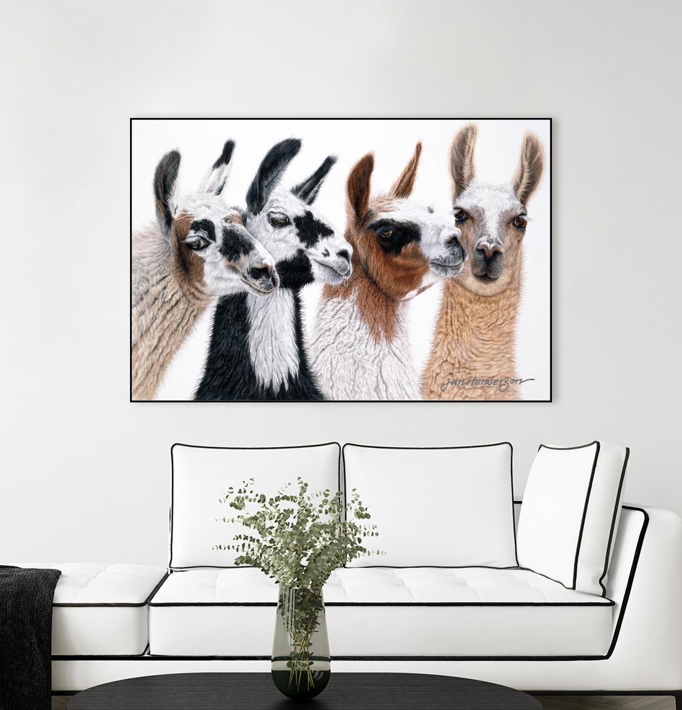 Peruvian Visitors by Jan Henderson on GIANT ART - multicolor animals; photography