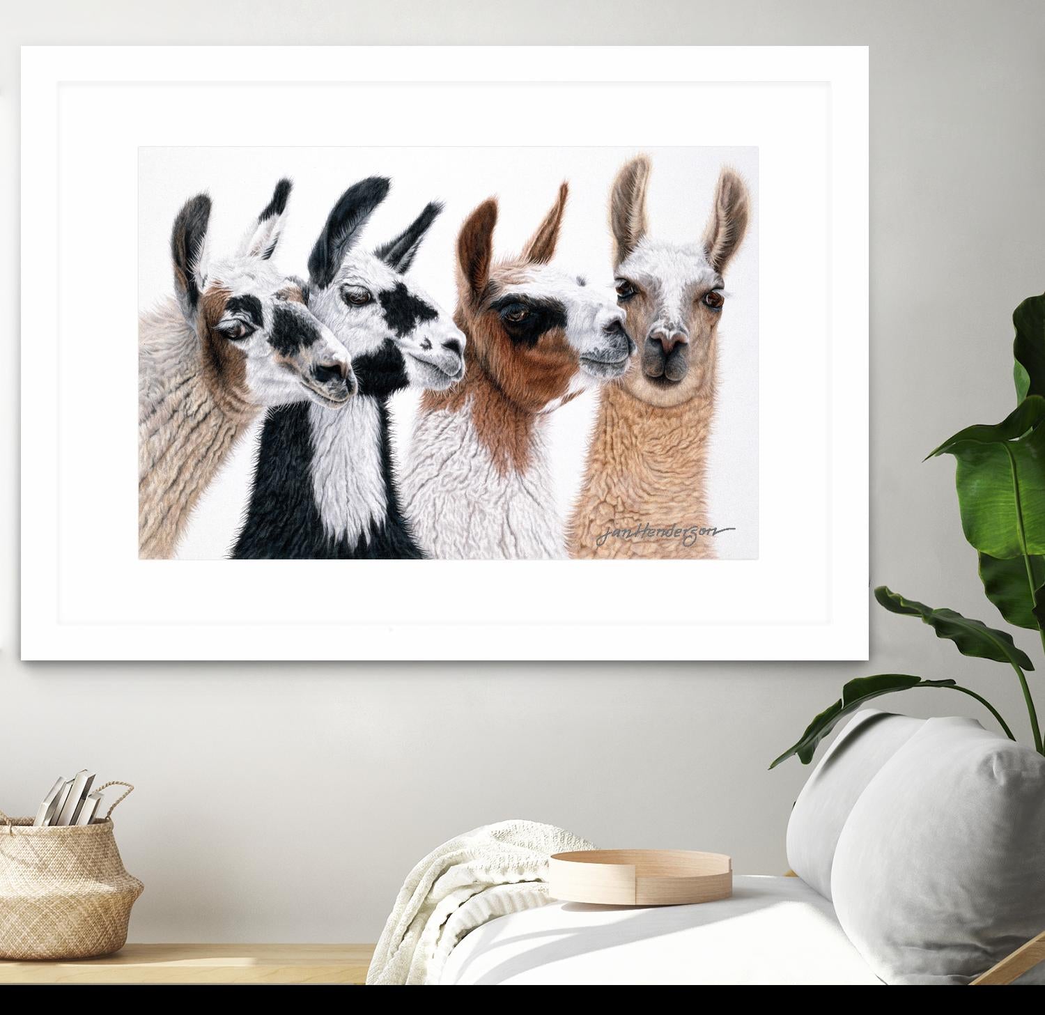 Peruvian Visitors by Jan Henderson on GIANT ART - multicolor animals; photography