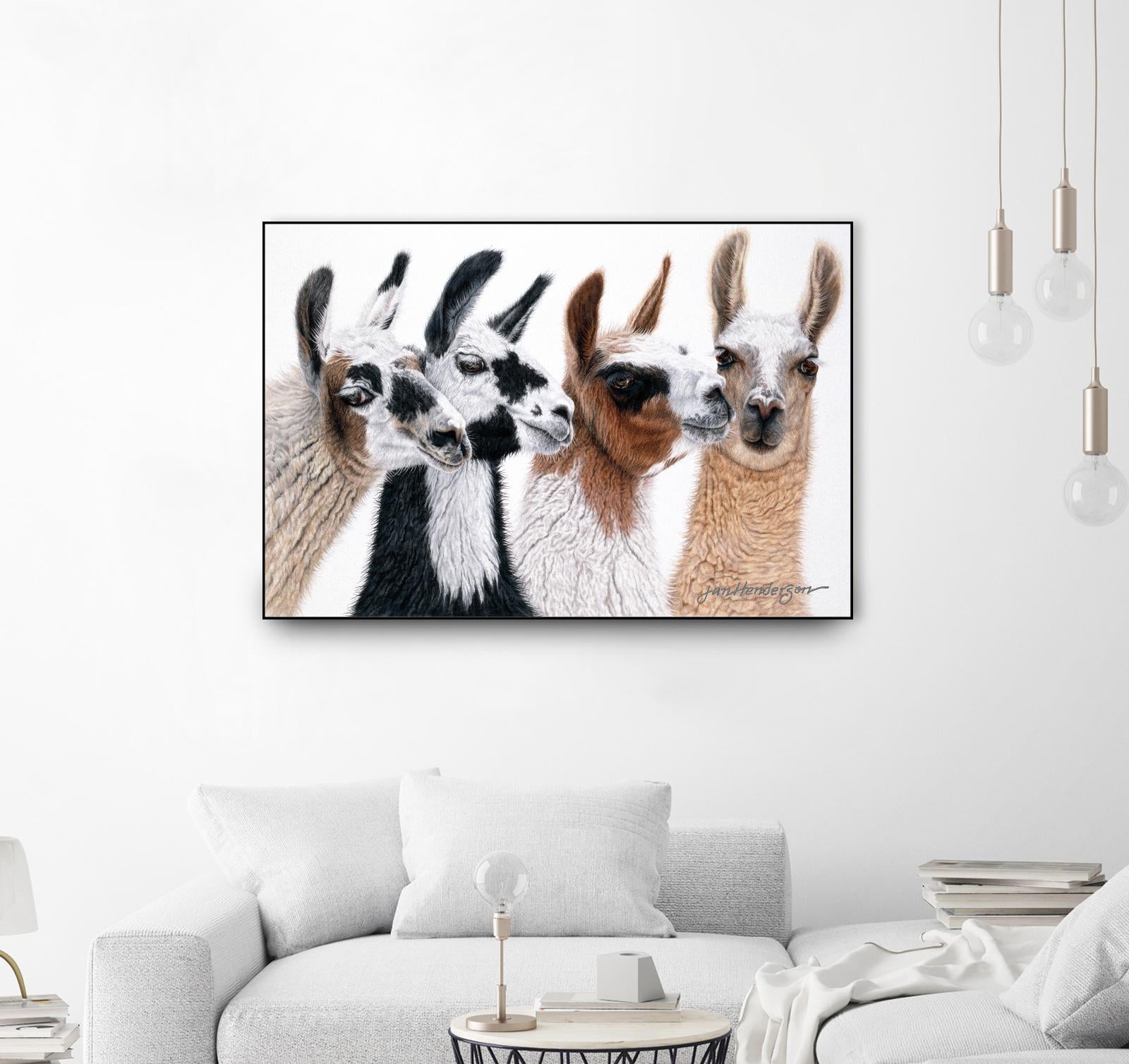 Peruvian Visitors by Jan Henderson on GIANT ART - multicolor animals; photography