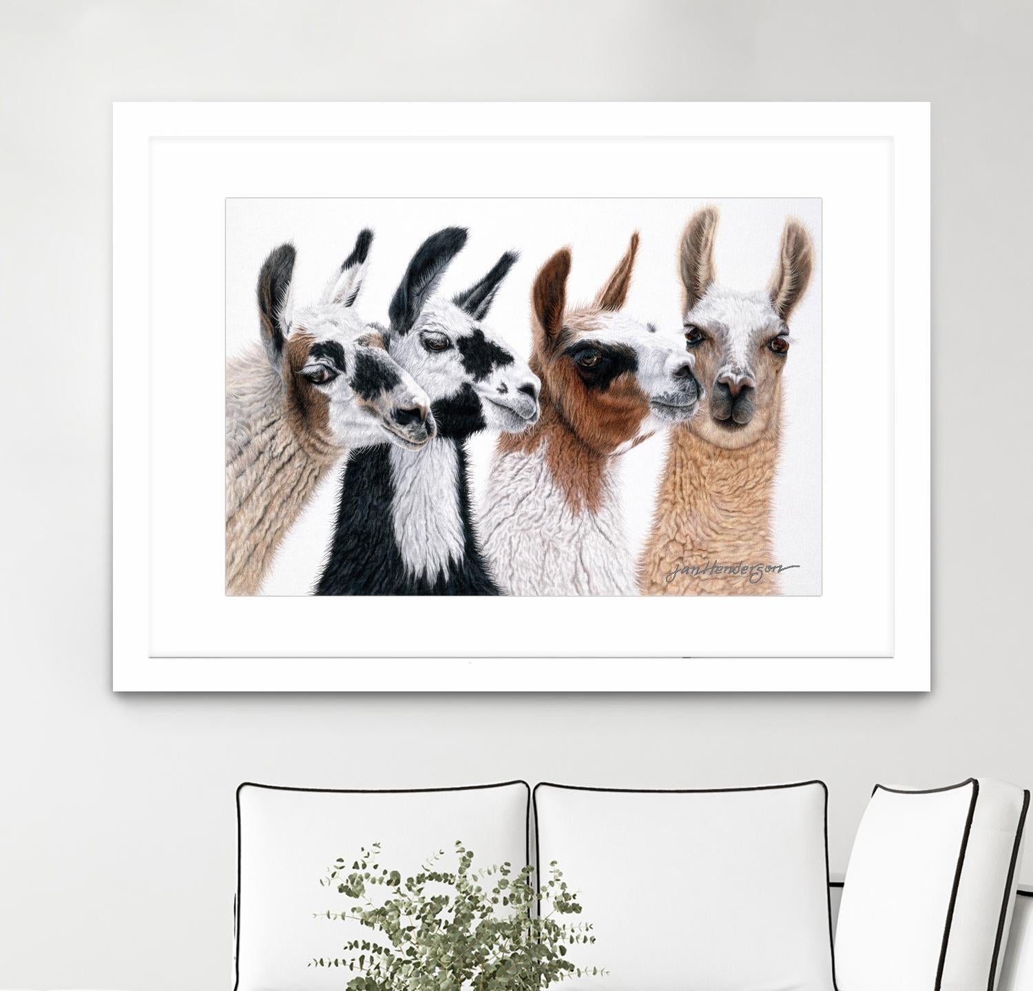 Peruvian Visitors by Jan Henderson on GIANT ART - multicolor animals; photography