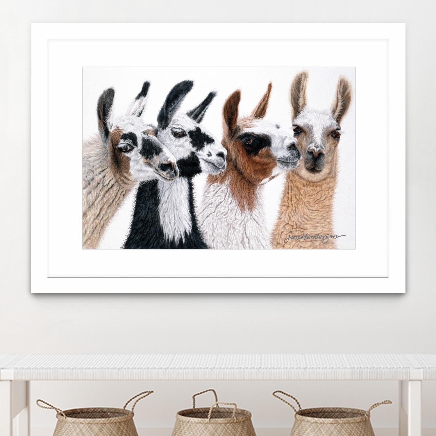 Peruvian Visitors by Jan Henderson on GIANT ART - multicolor animals; photography