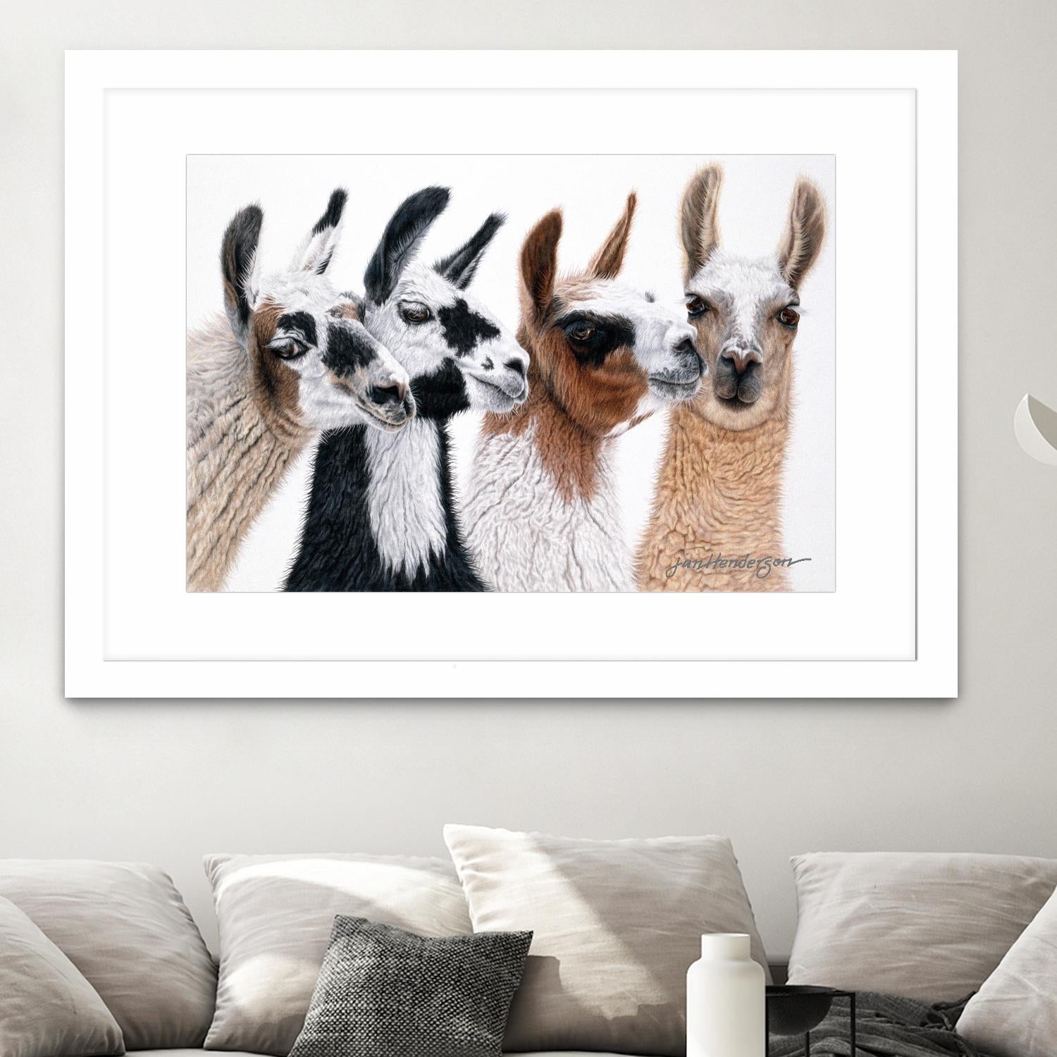 Peruvian Visitors by Jan Henderson on GIANT ART - multicolor animals; photography