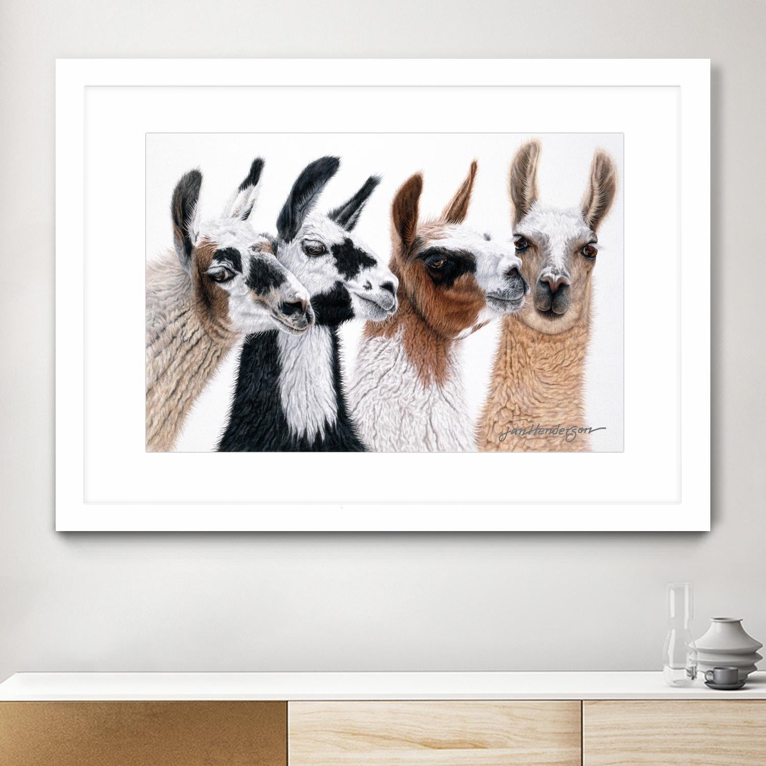 Peruvian Visitors by Jan Henderson on GIANT ART - multicolor animals; photography