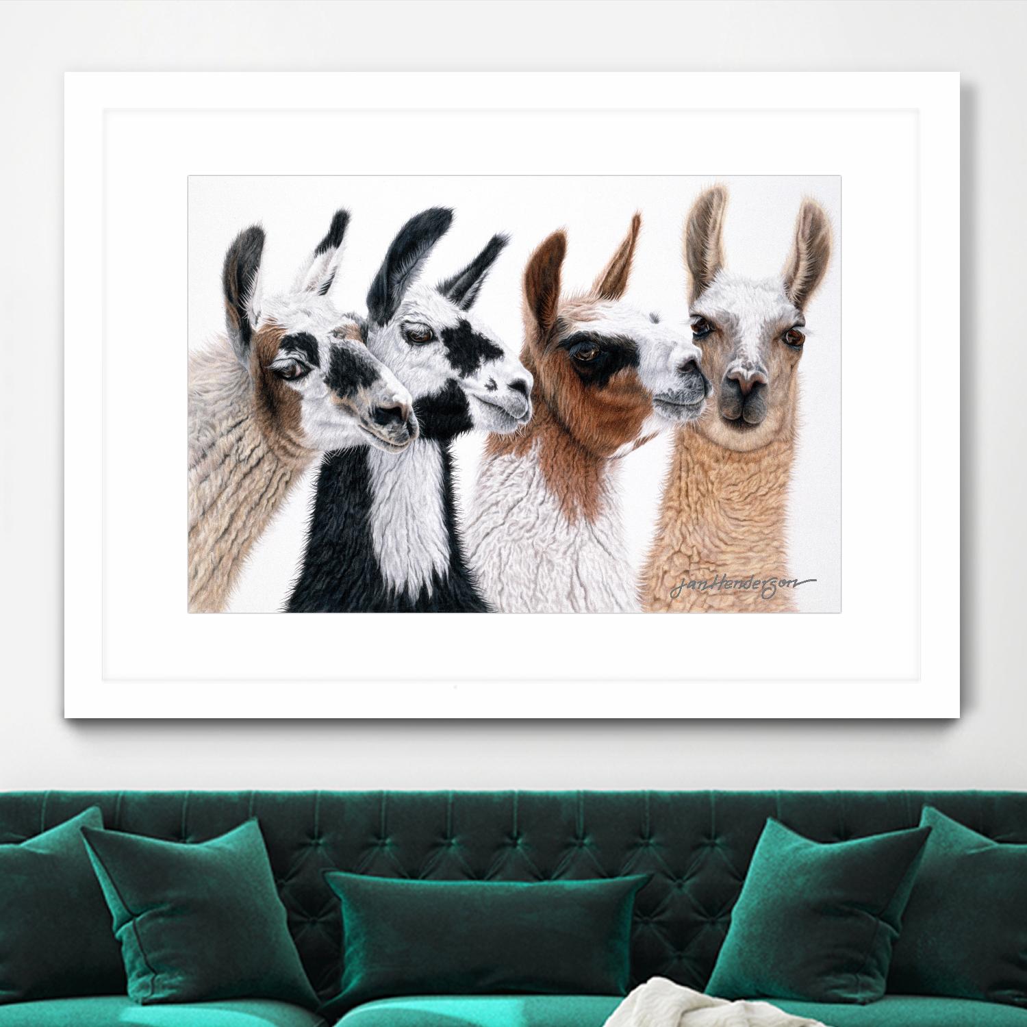 Peruvian Visitors by Jan Henderson on GIANT ART - multicolor animals; photography