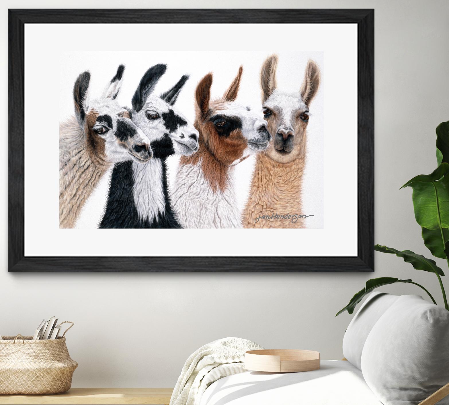 Peruvian Visitors by Jan Henderson on GIANT ART - multicolor animals; photography