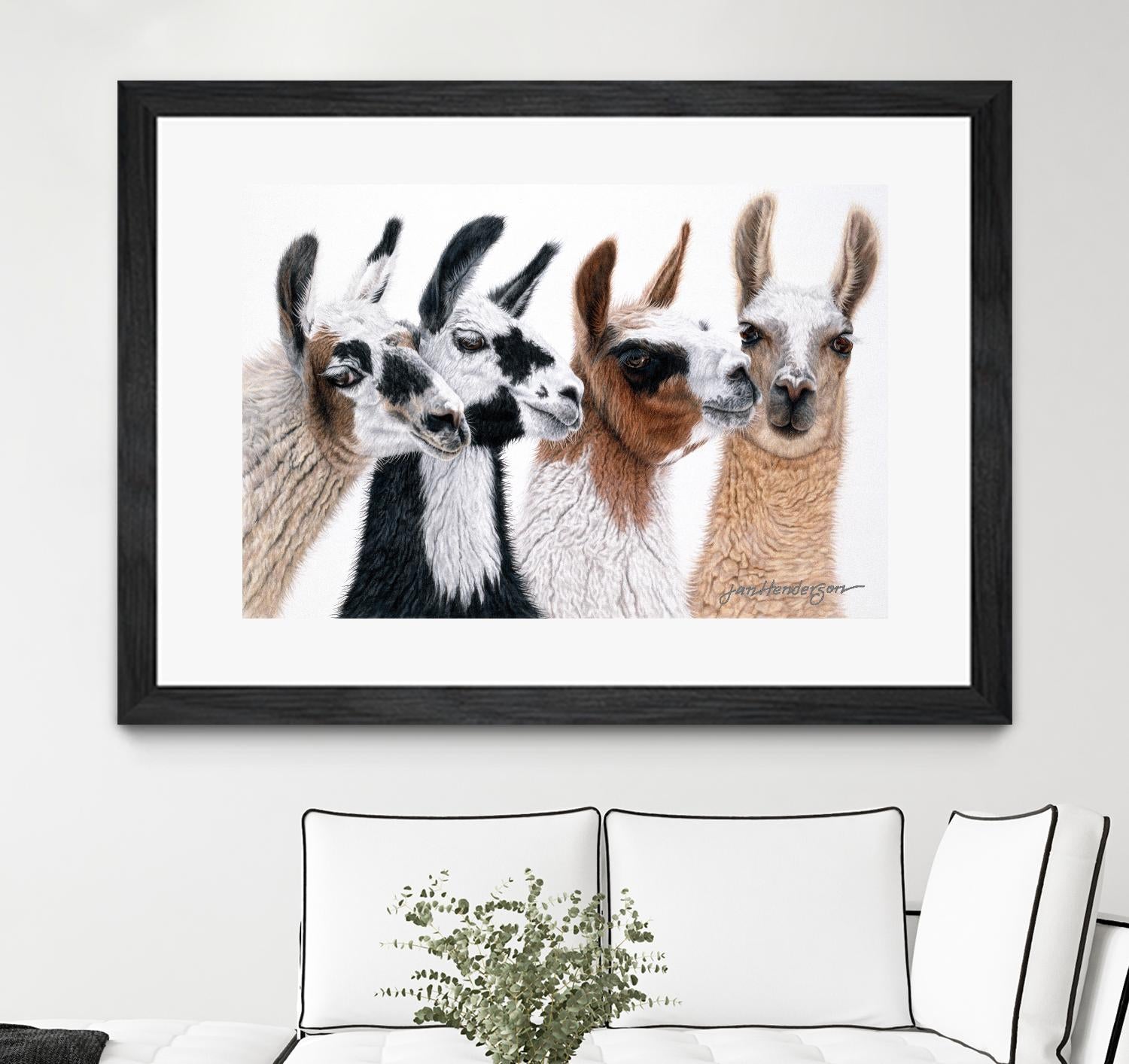 Peruvian Visitors by Jan Henderson on GIANT ART - multicolor animals; photography