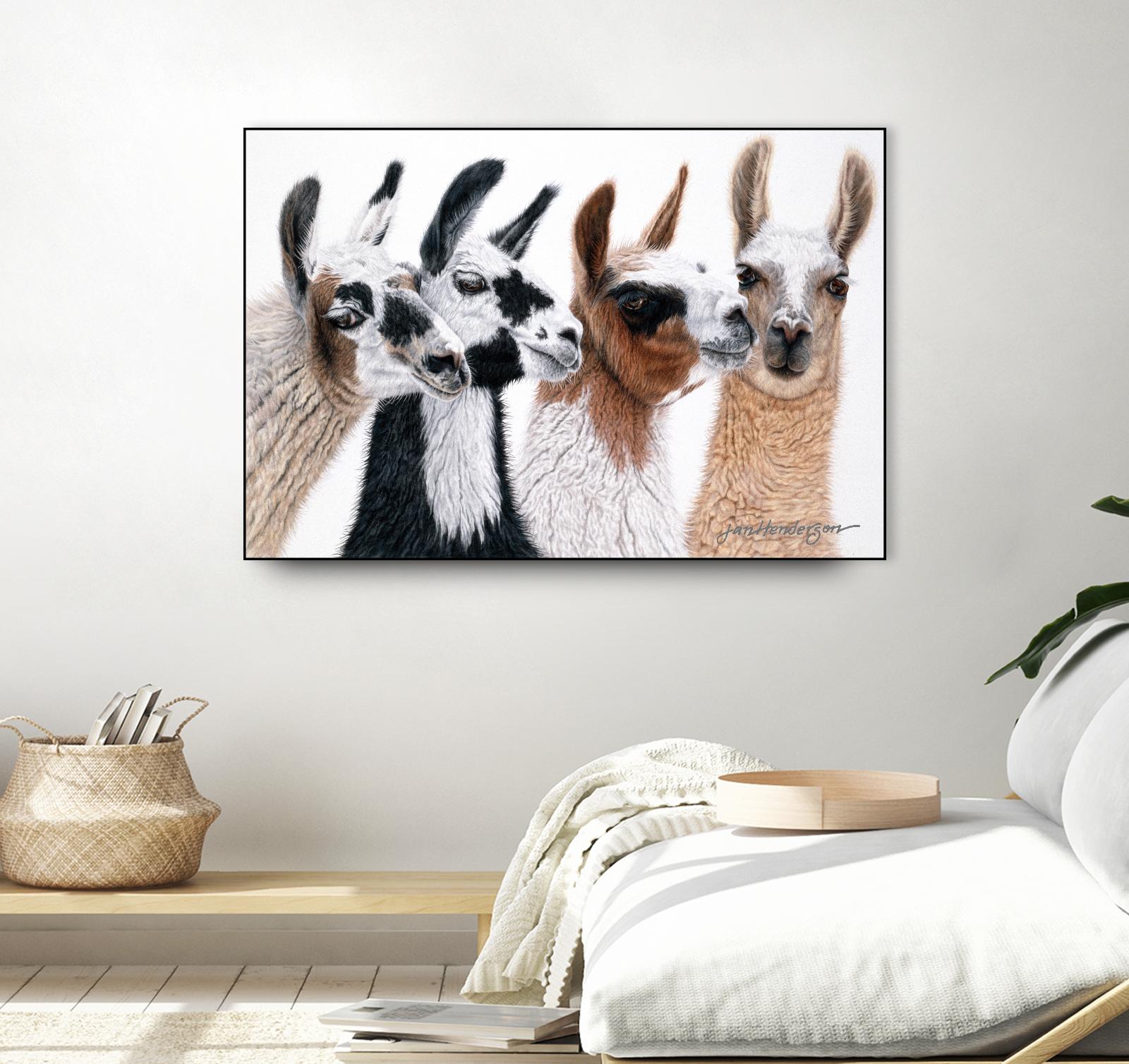 Peruvian Visitors by Jan Henderson on GIANT ART - multicolor animals; photography