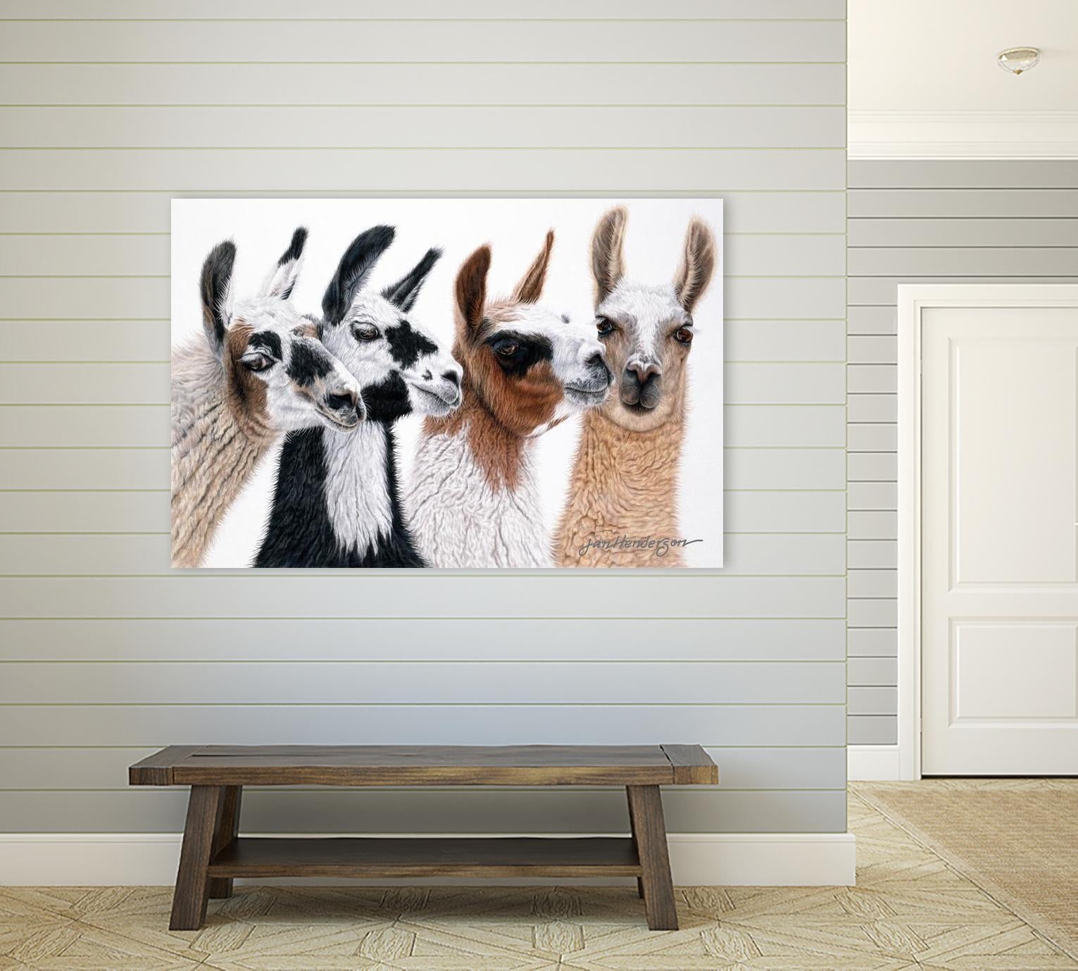 Peruvian Visitors by Jan Henderson on GIANT ART - multicolor animals; photography