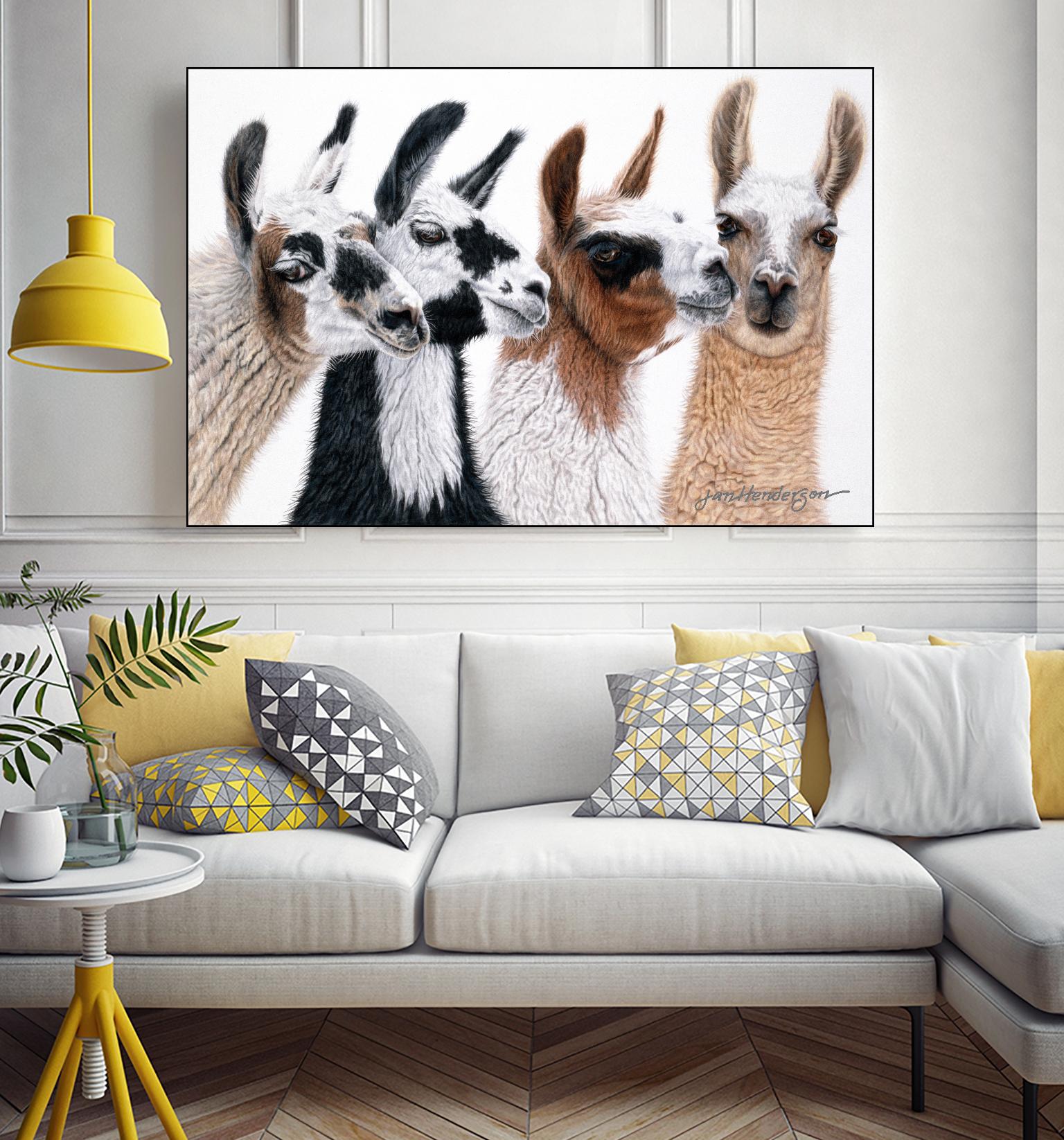 Peruvian Visitors by Jan Henderson on GIANT ART - multicolor animals; photography