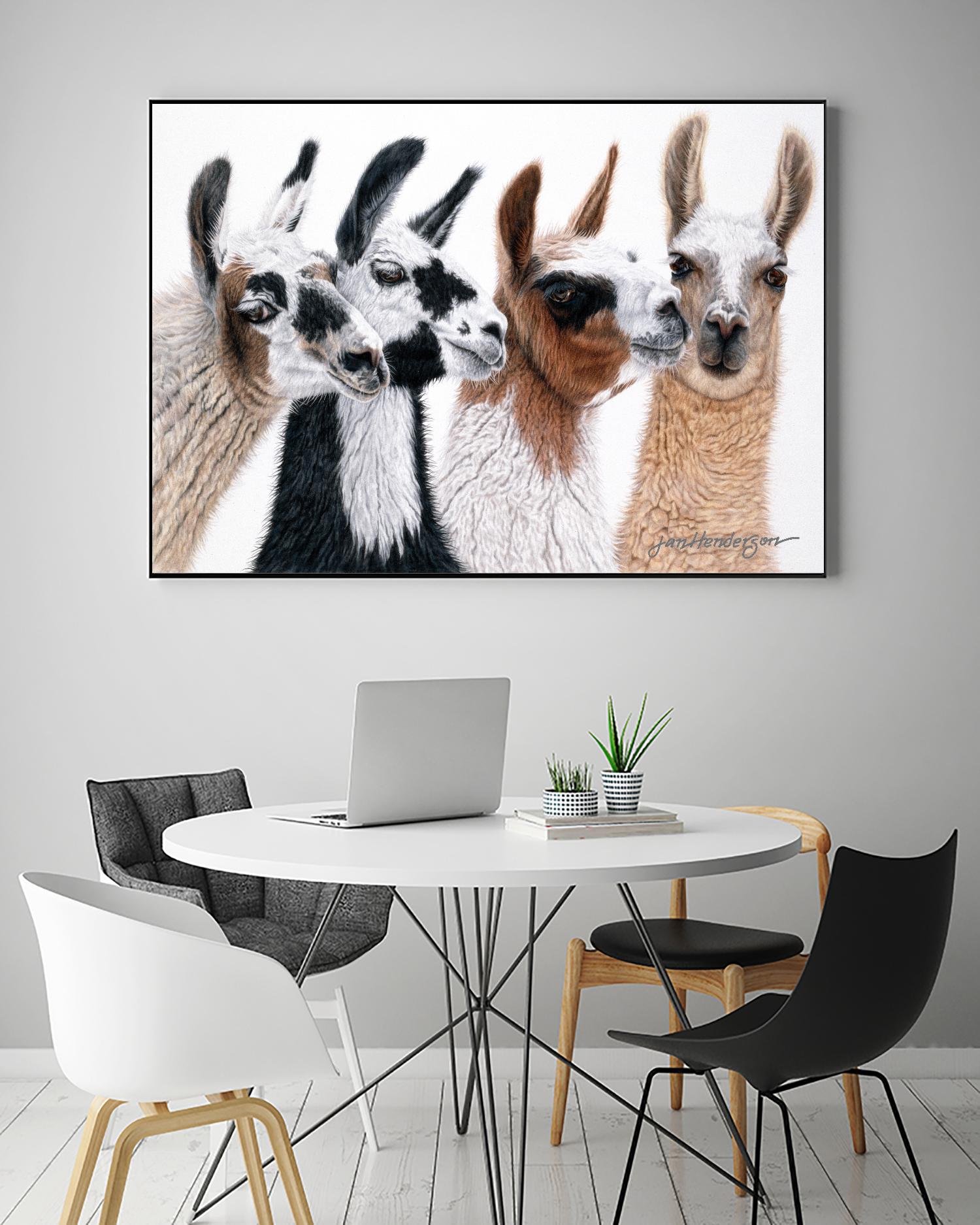 Peruvian Visitors by Jan Henderson on GIANT ART - multicolor animals; photography