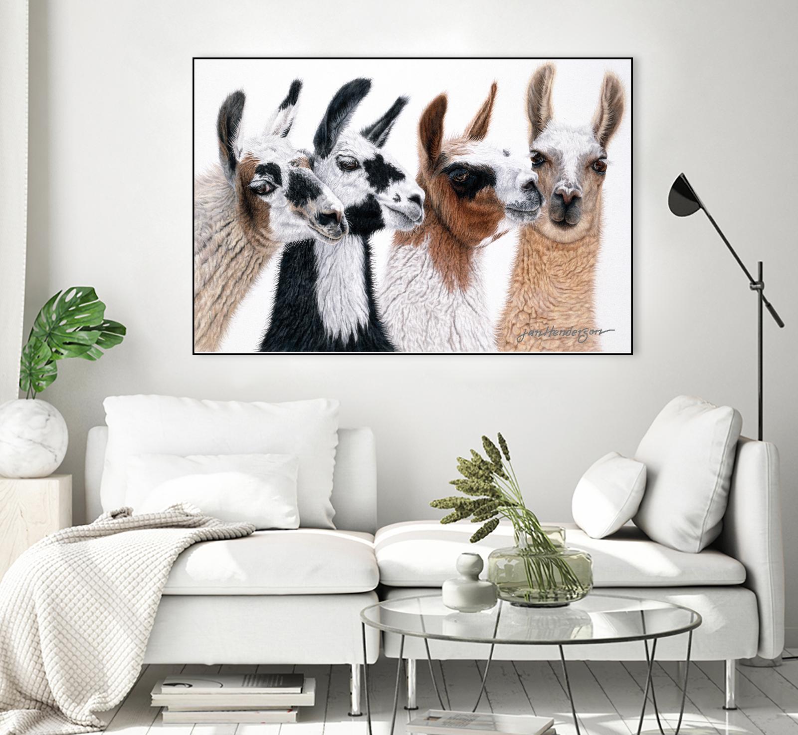 Peruvian Visitors by Jan Henderson on GIANT ART - multicolor animals; photography