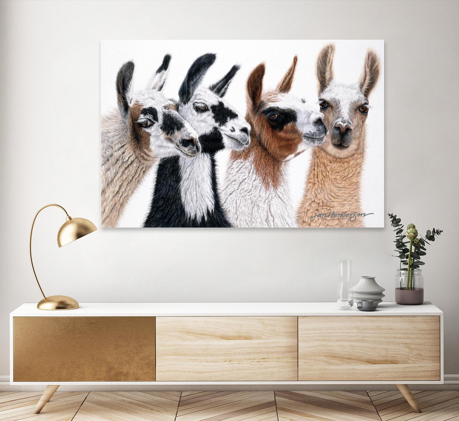 Peruvian Visitors by Jan Henderson on GIANT ART - multicolor animals; photography